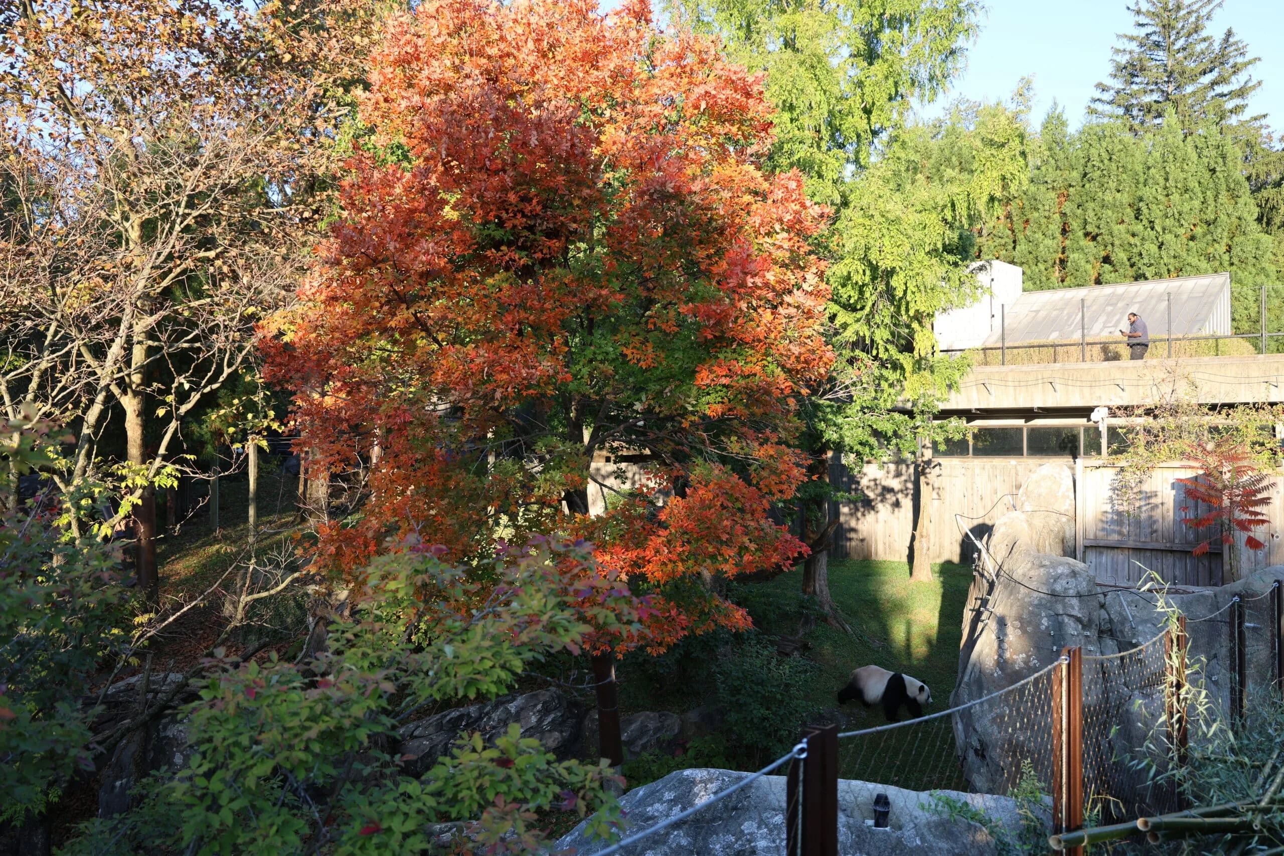 Smithsonian's National Zoo