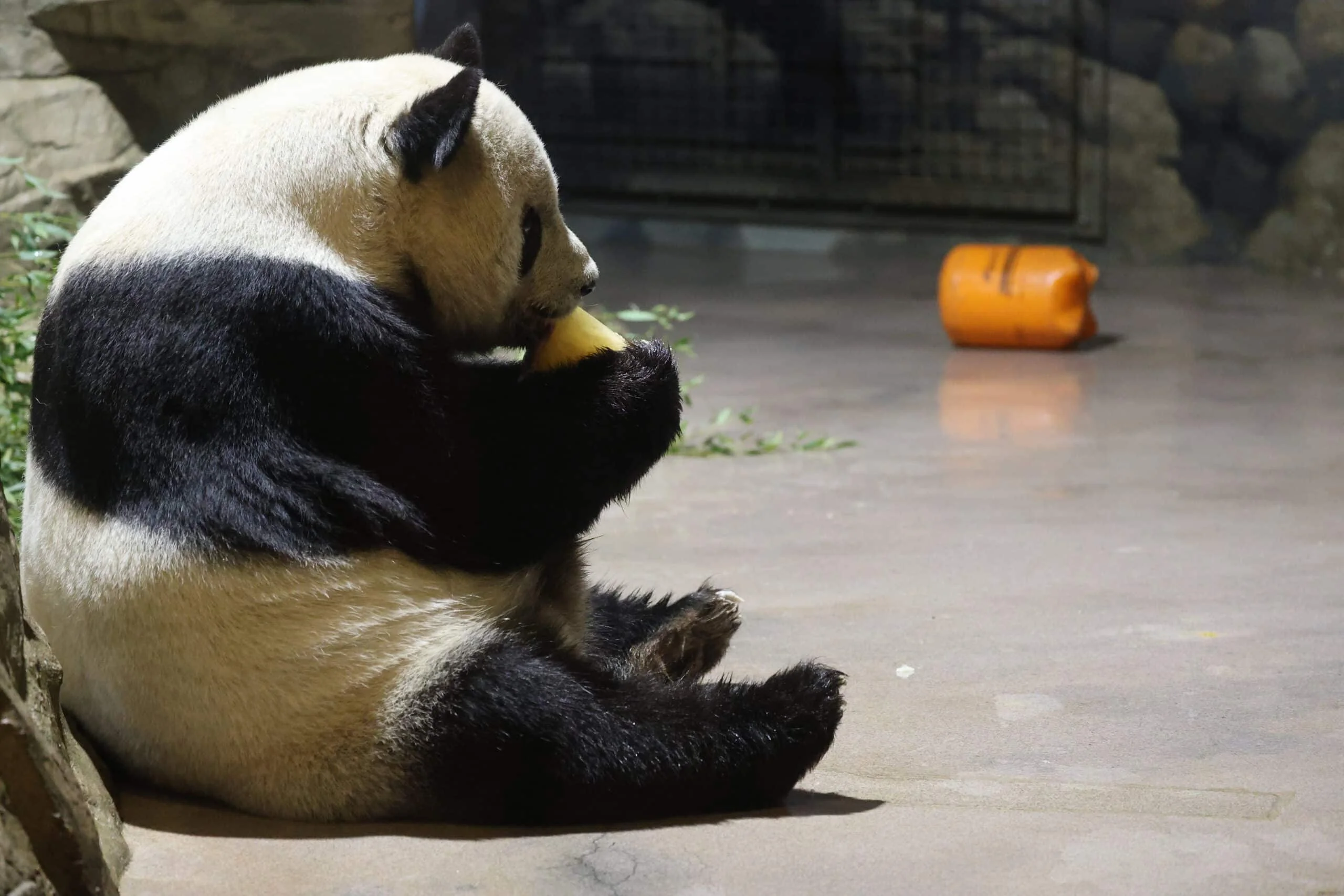 Smithsonian's National Zoo