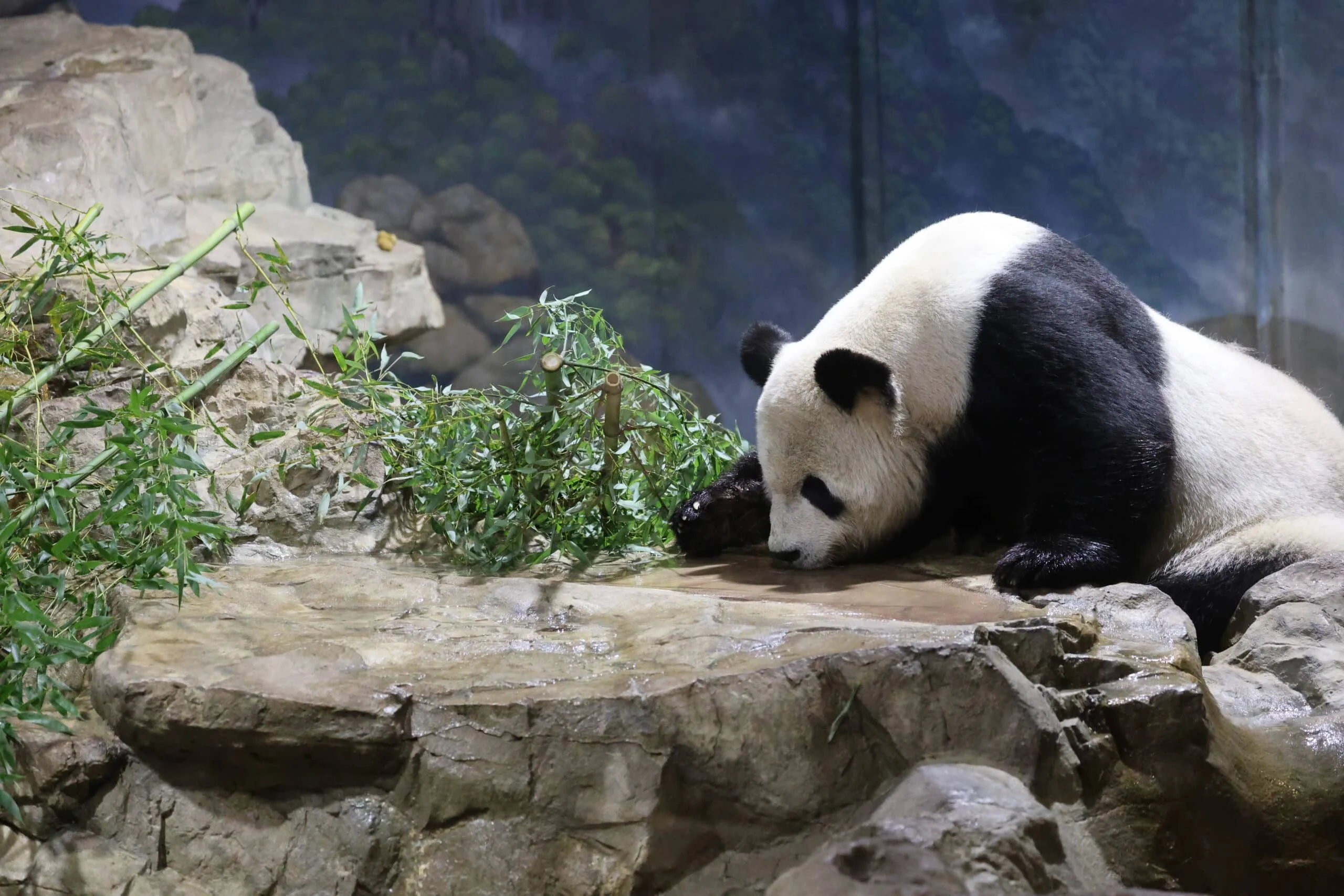 Smithsonian's National Zoo