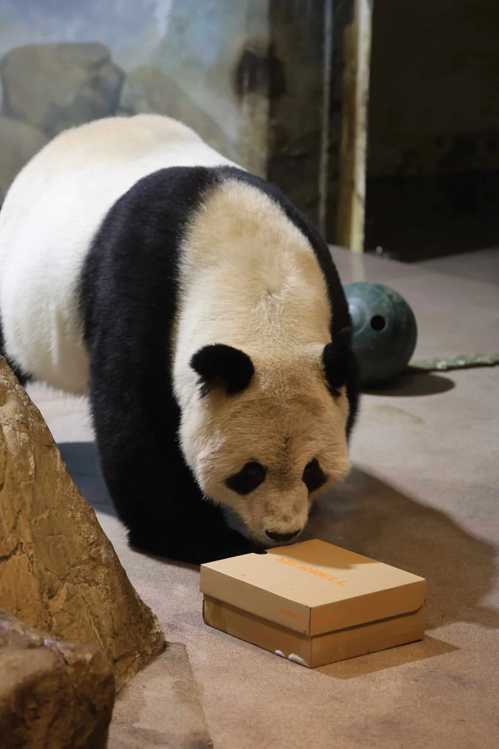 Smithsonian's National Zoo