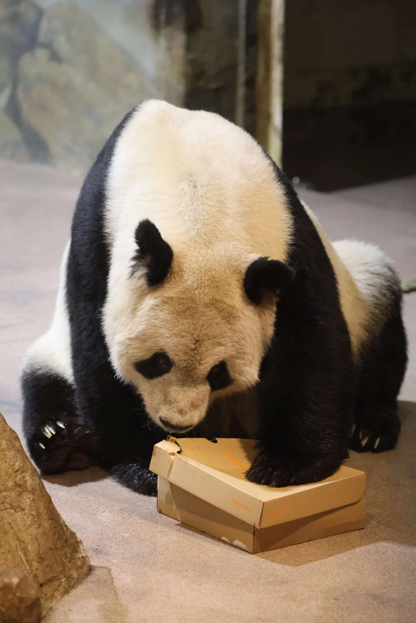 Smithsonian's National Zoo