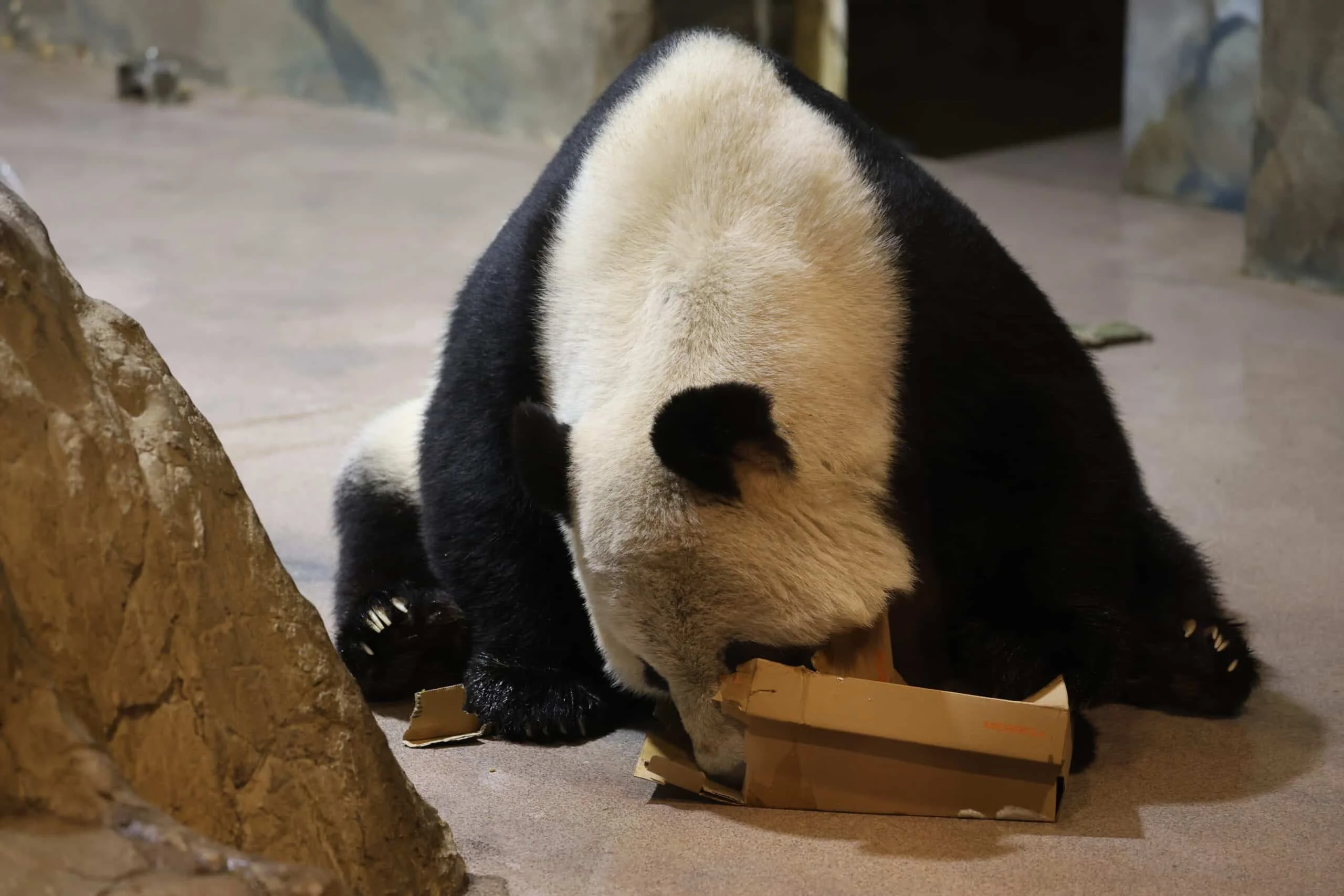 Smithsonian's National Zoo