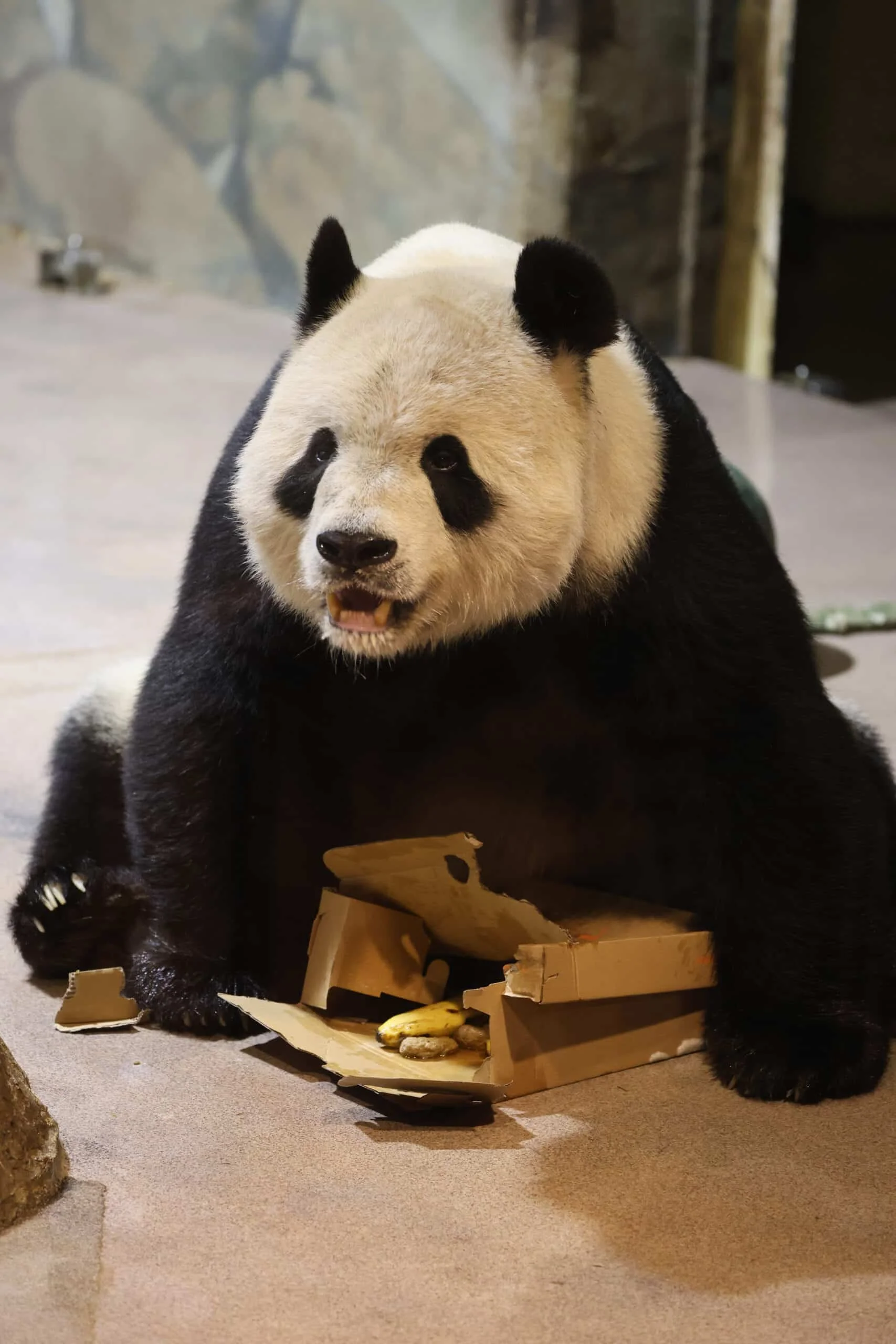 Smithsonian's National Zoo