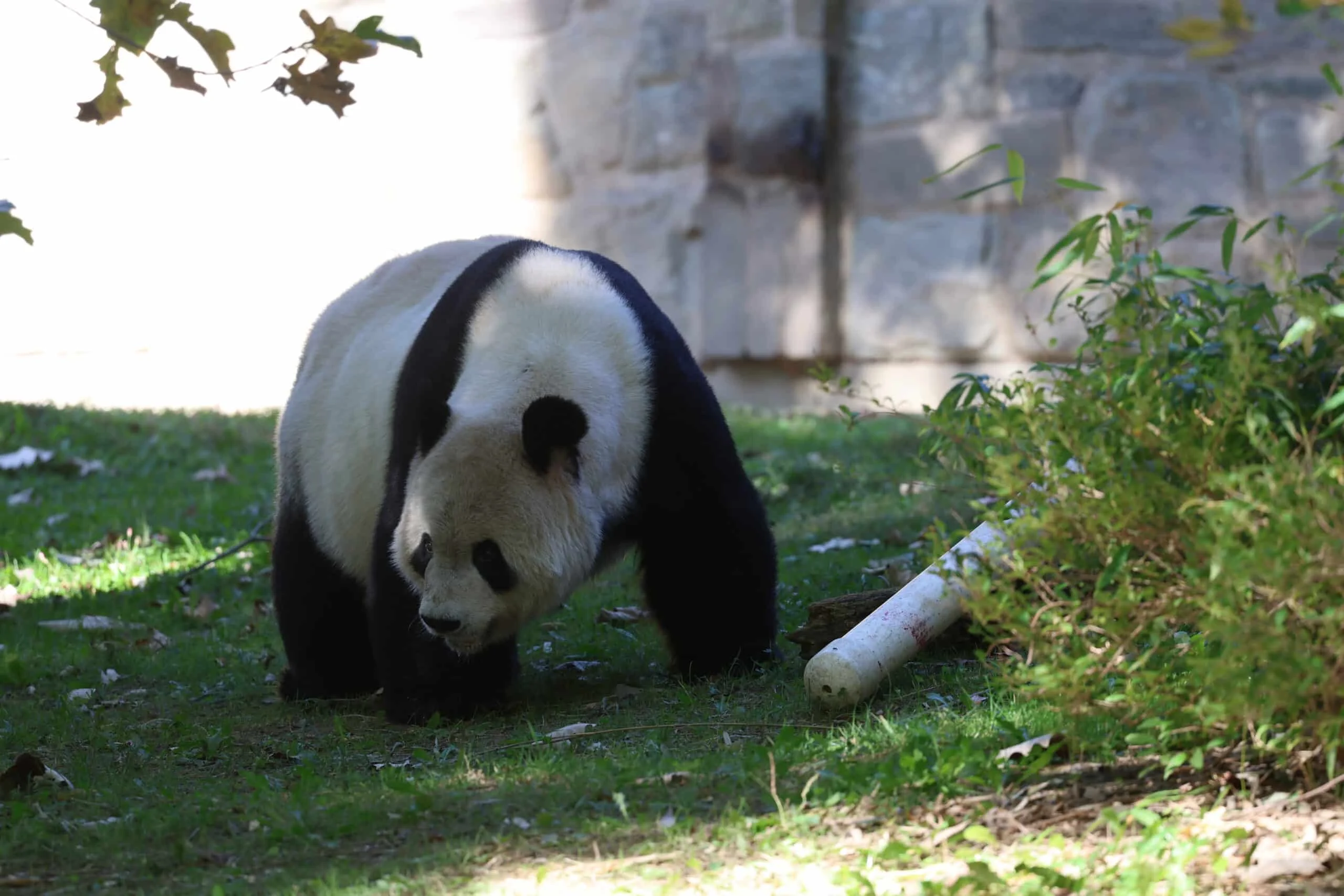 Smithsonian's National Zoo