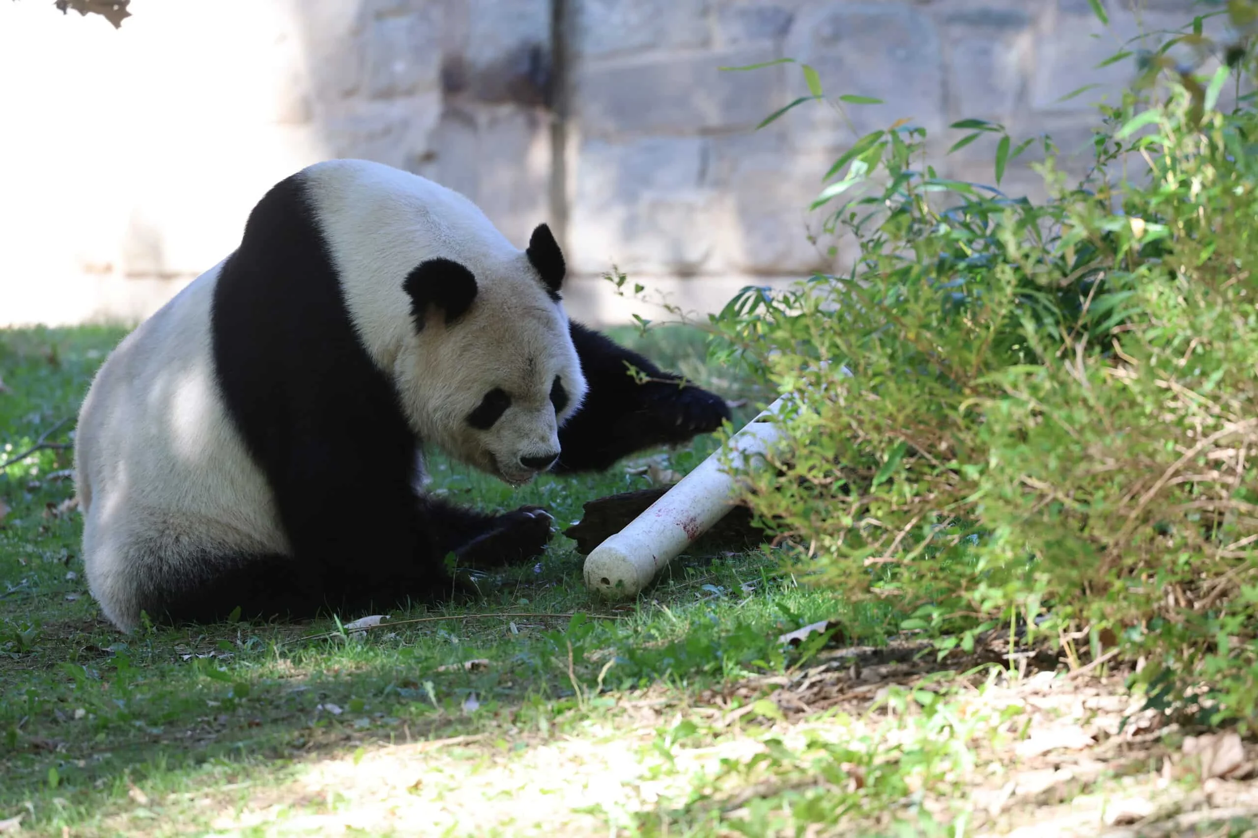 Smithsonian's National Zoo