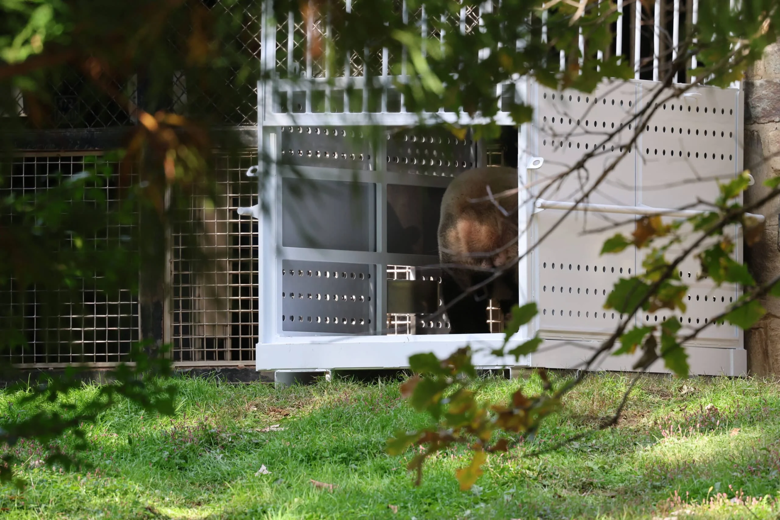 Smithsonian's National Zoo