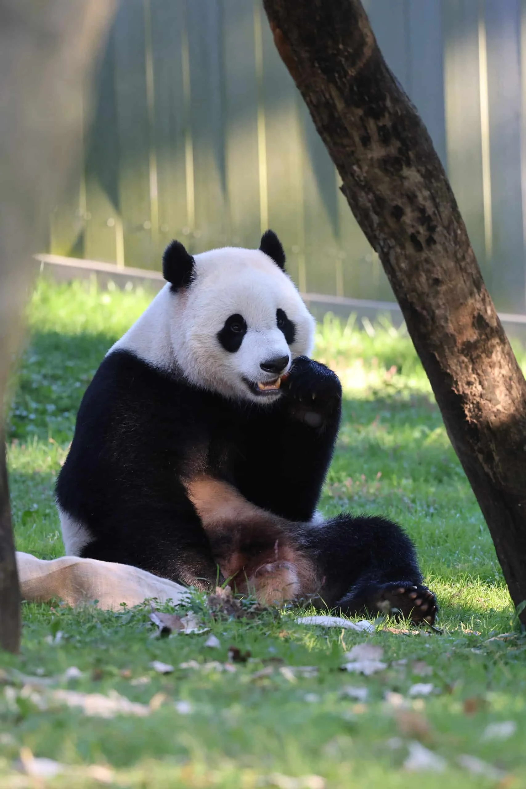 Smithsonian's National Zoo