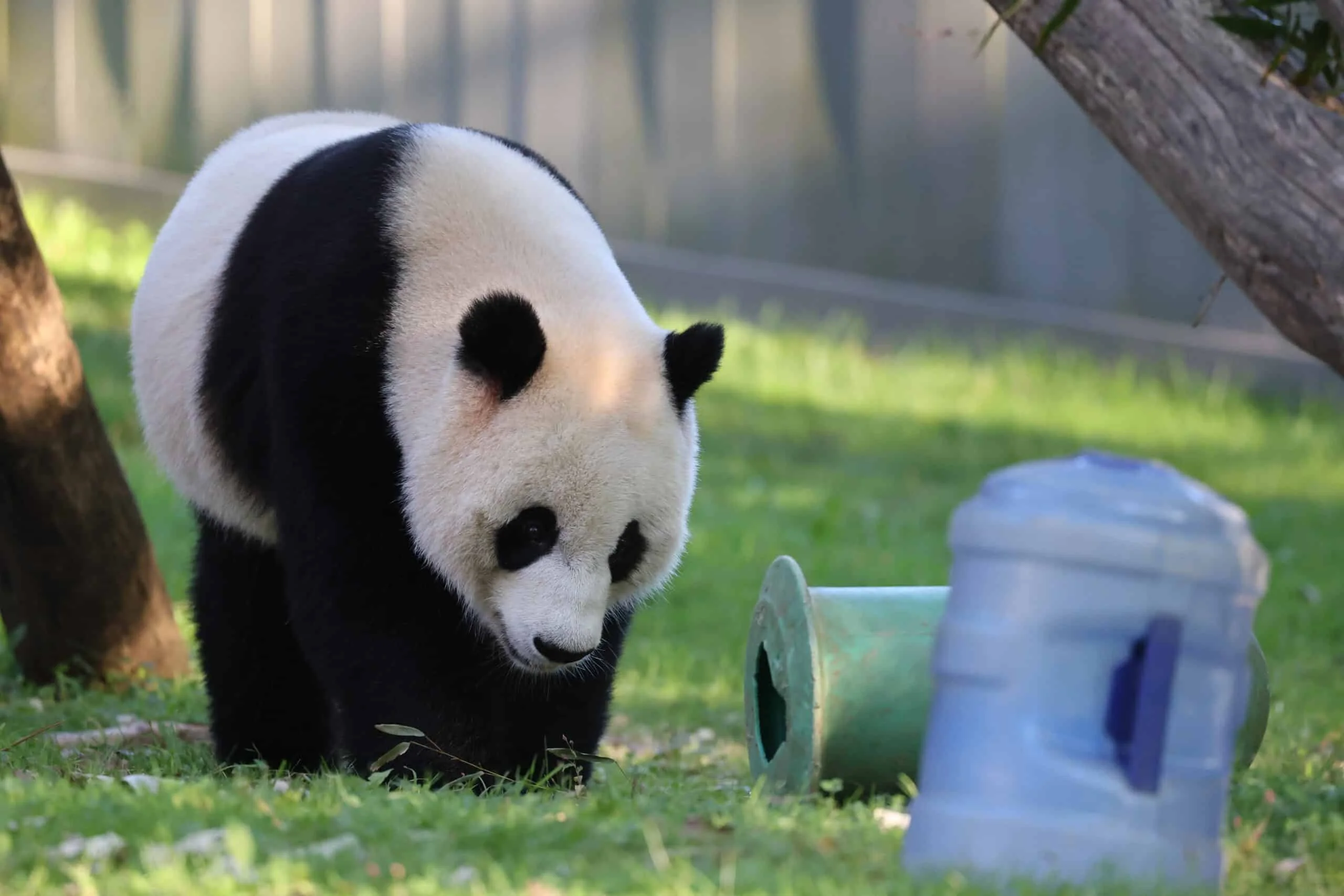 Smithsonian's National Zoo