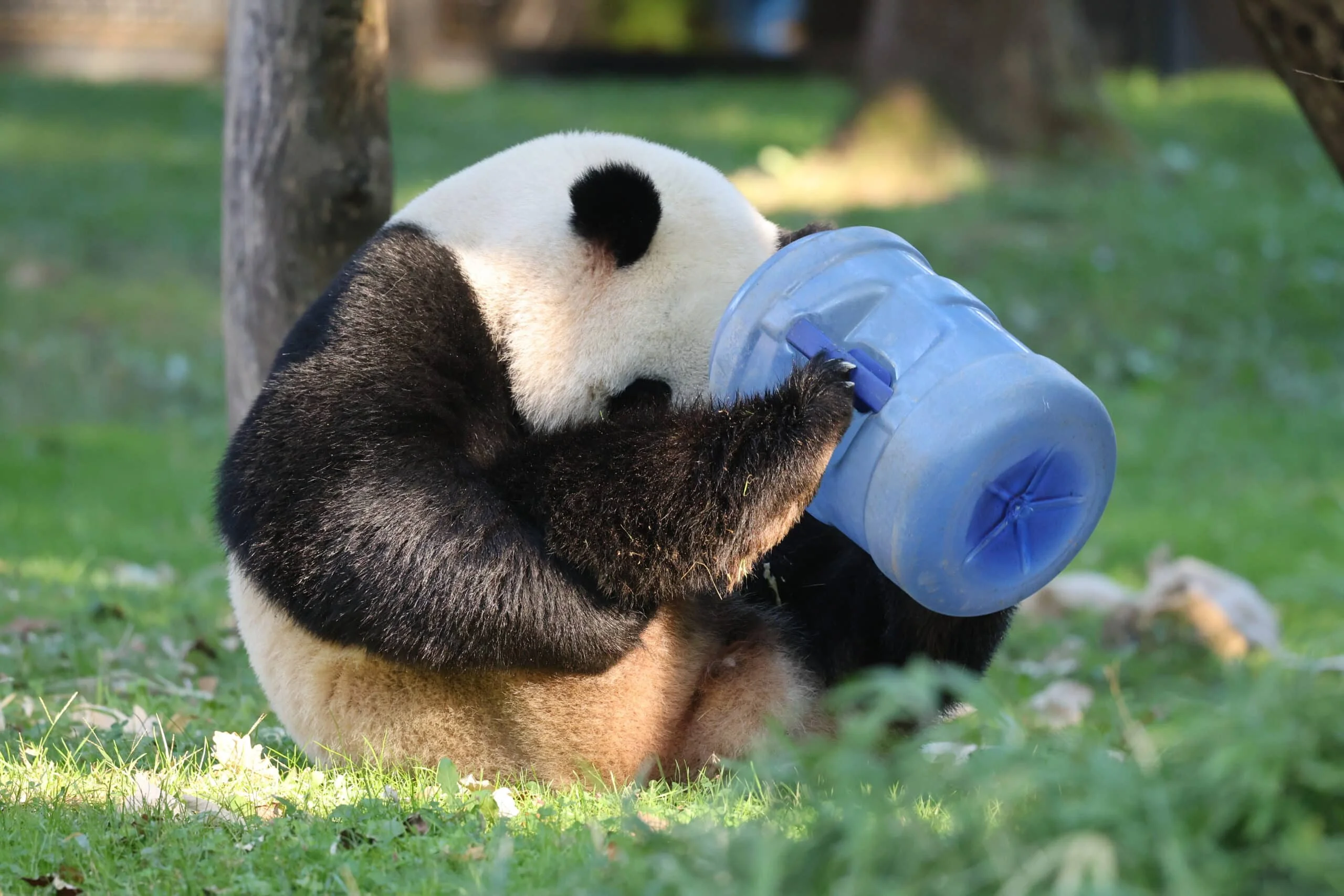 Smithsonian's National Zoo
