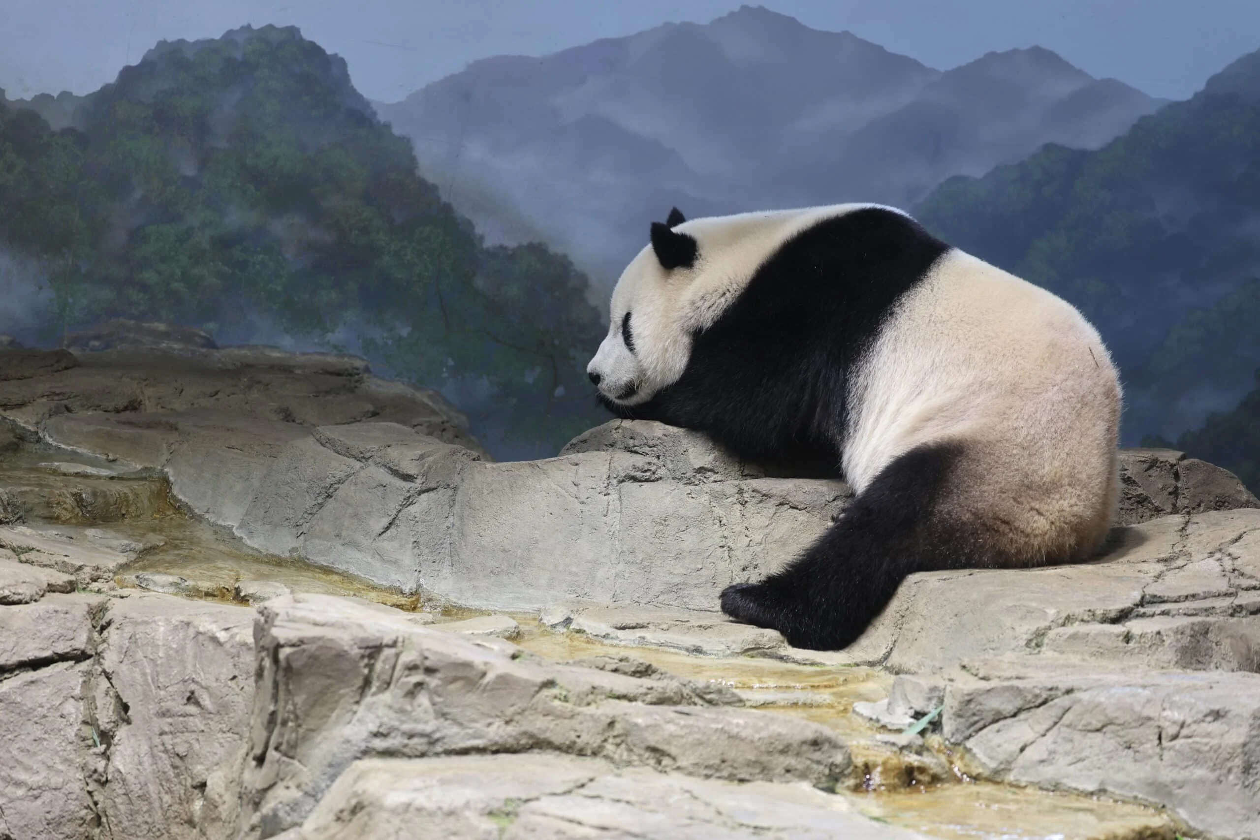 Smithsonian's National Zoo