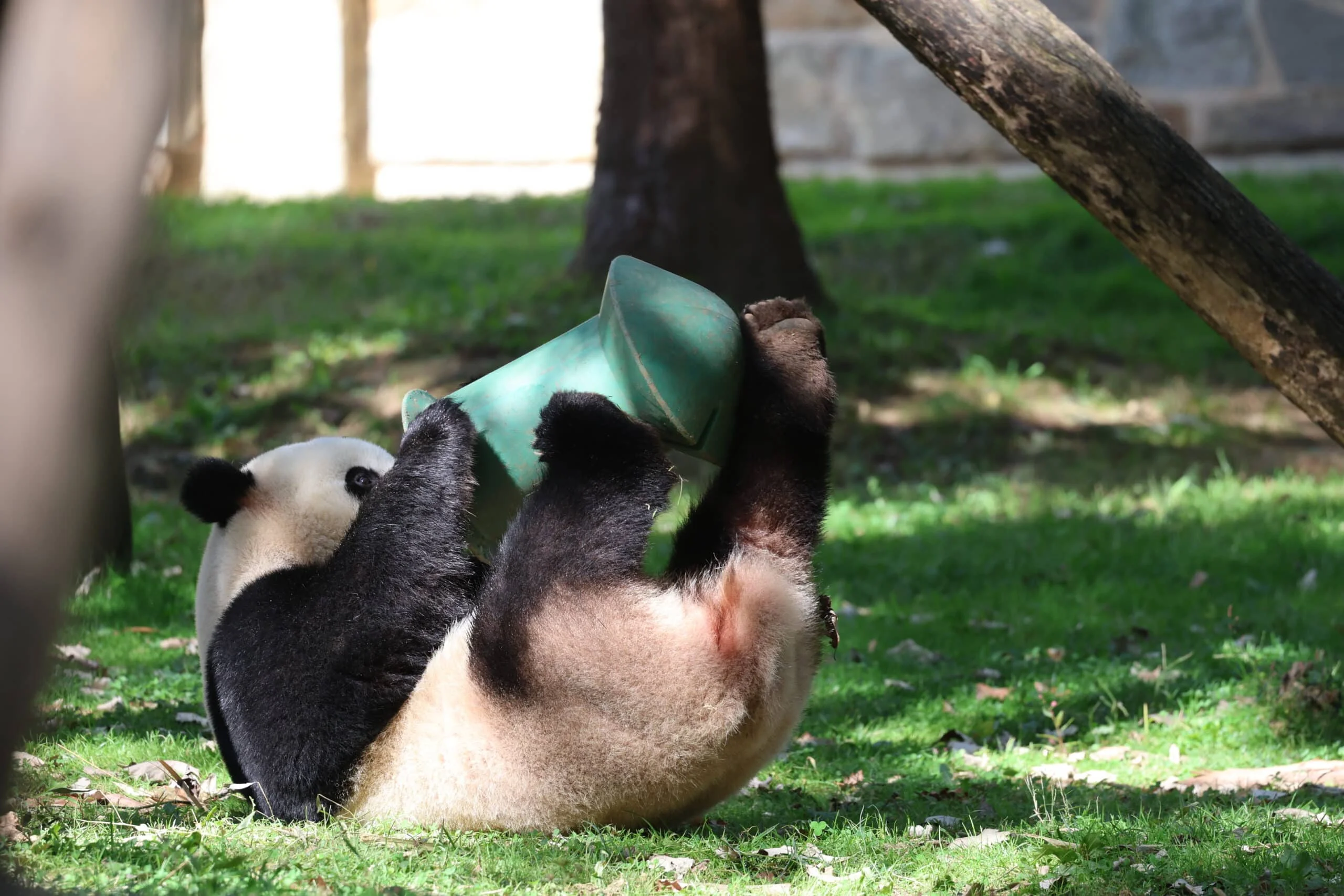 Smithsonian's National Zoo