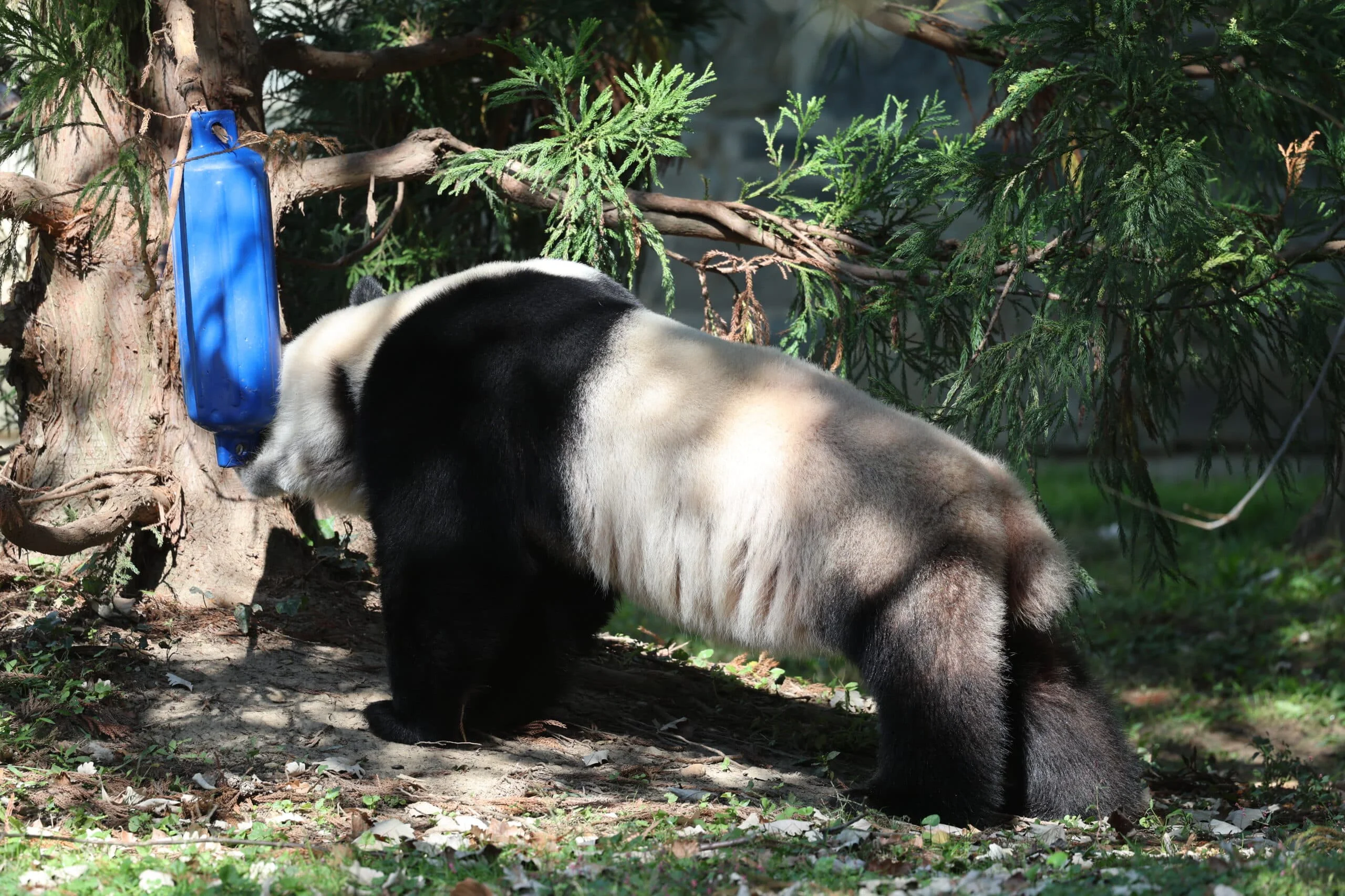 Smithsonian's National Zoo