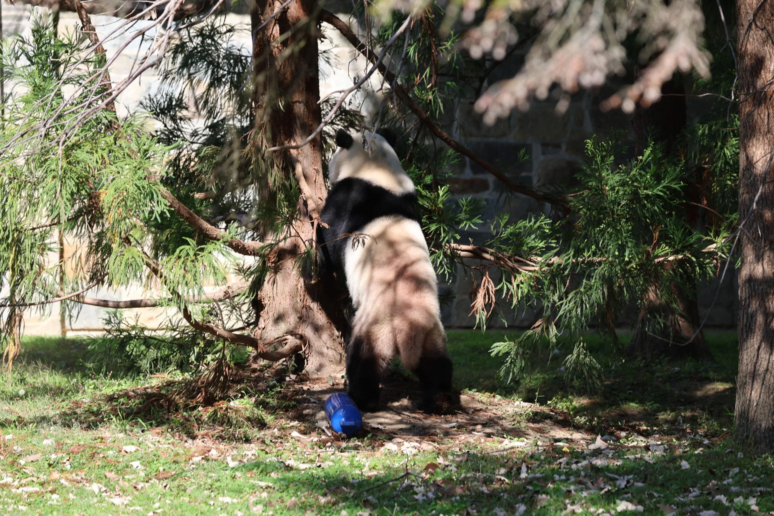 Smithsonian's National Zoo