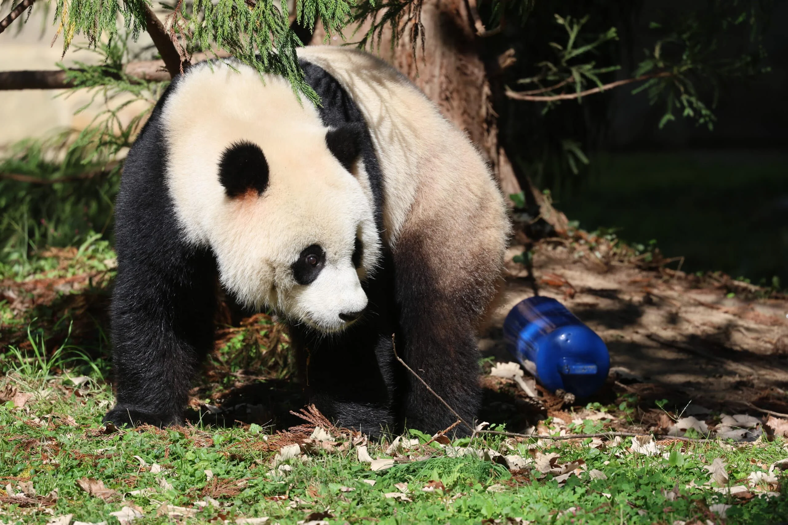 Smithsonian's National Zoo