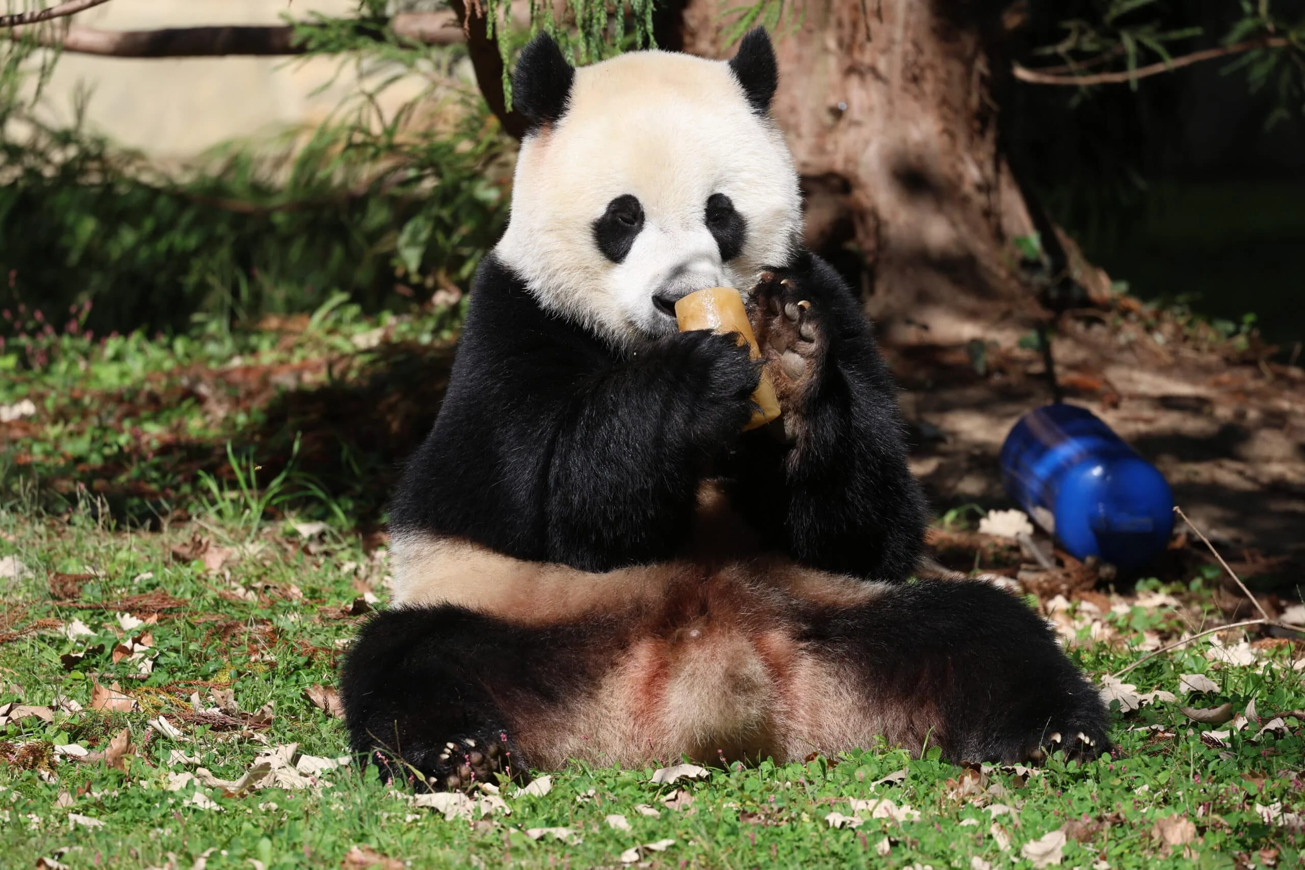 Smithsonian's National Zoo