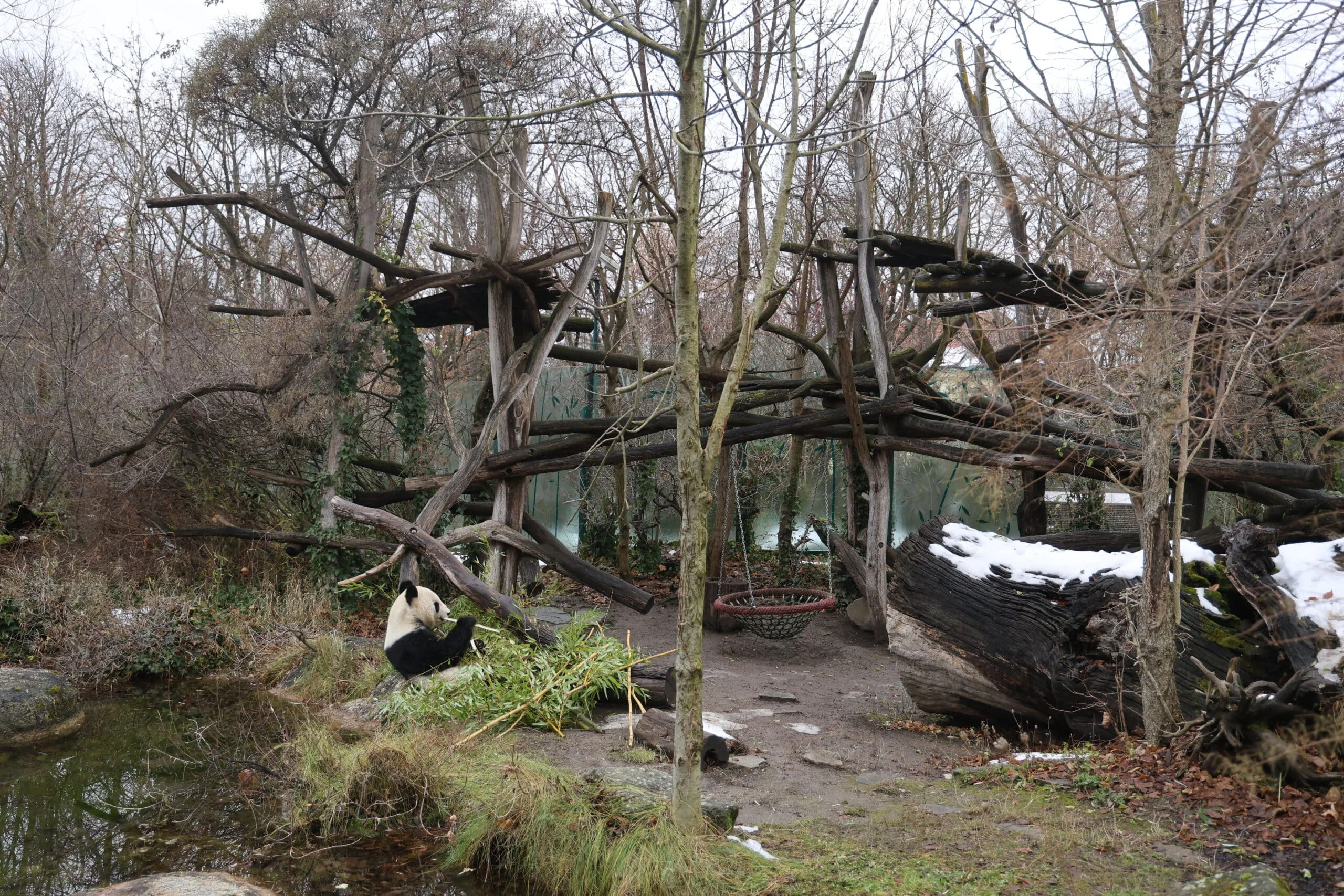 Tiergarten Schönbrunn