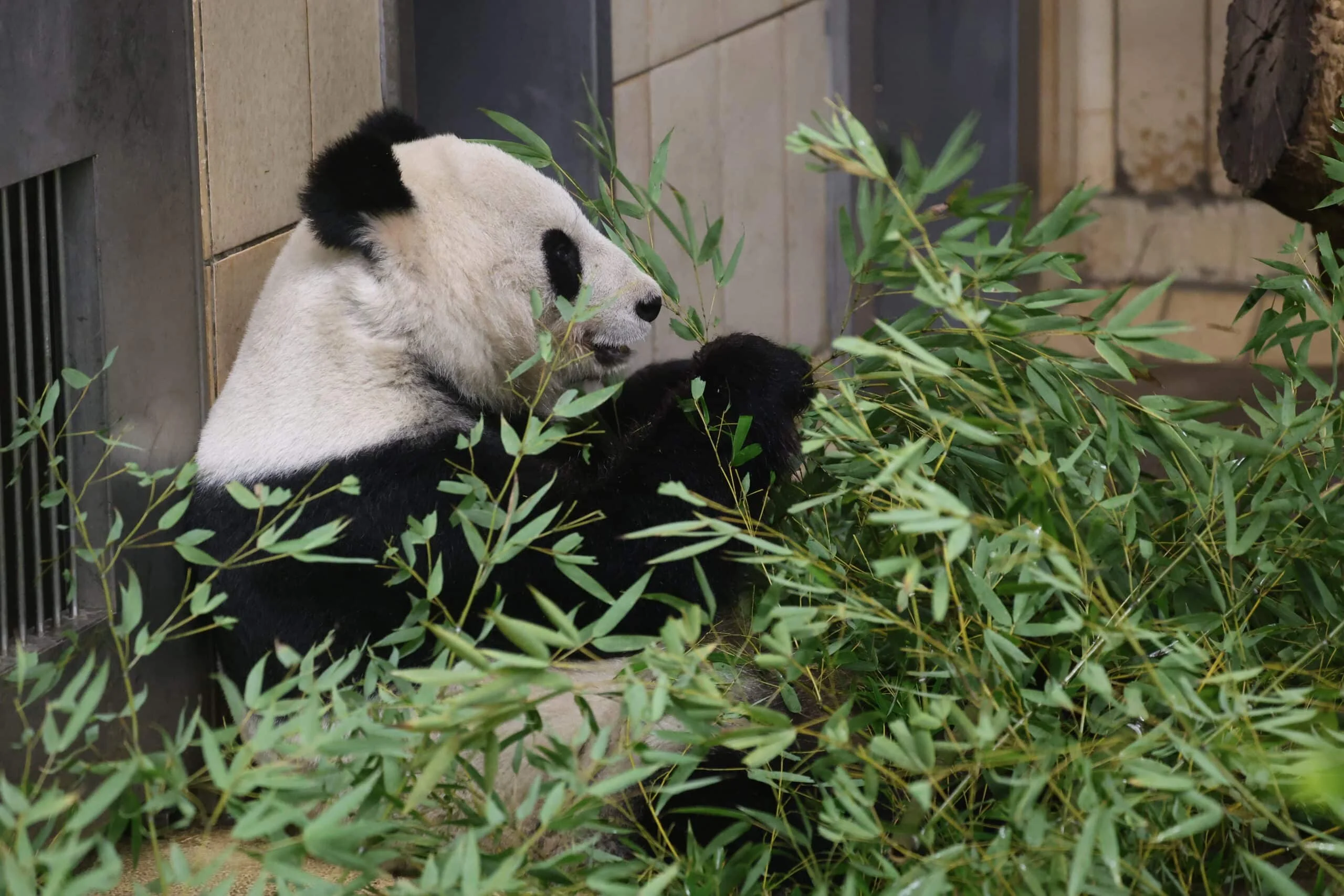 Tiergarten Schönbrunn