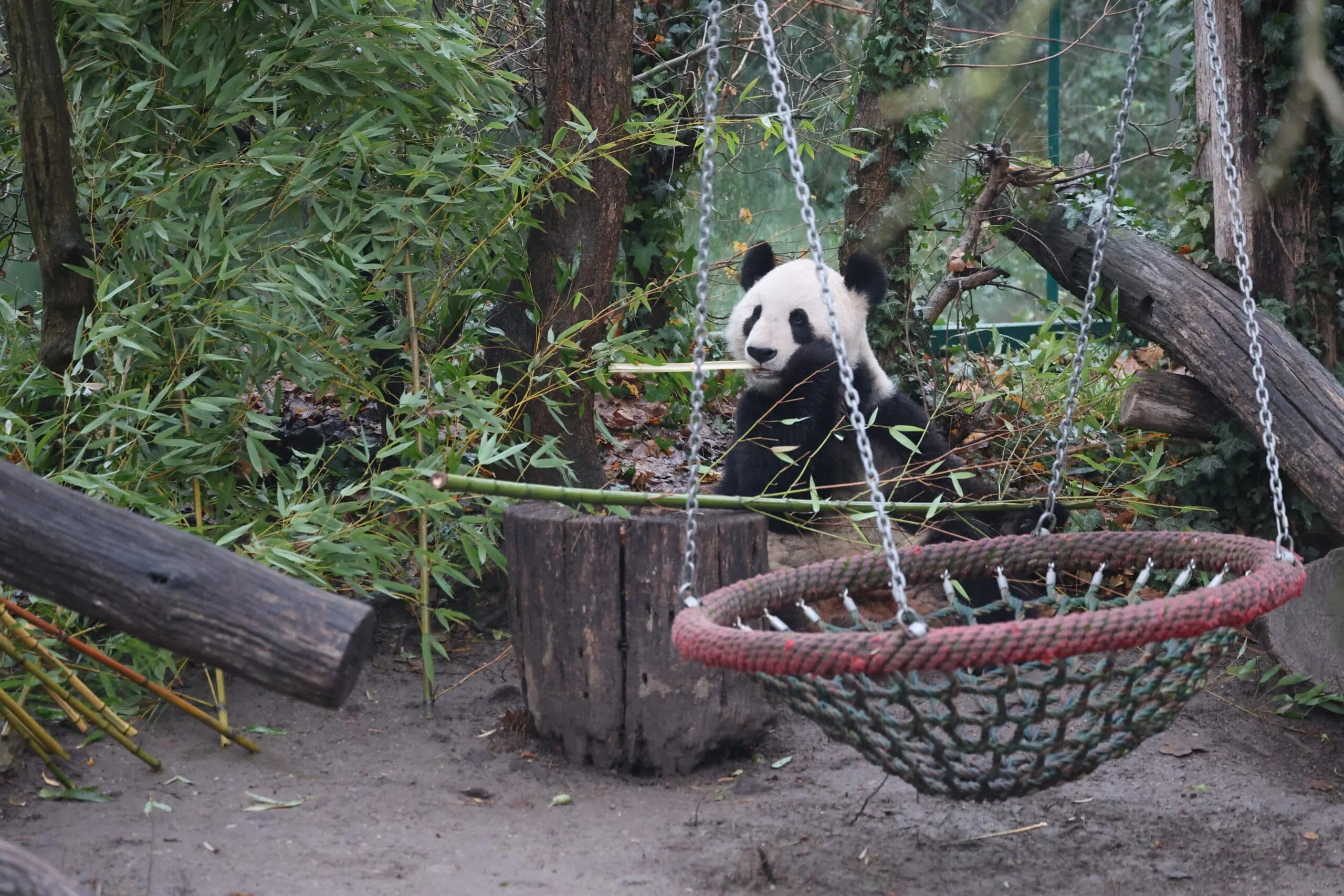 Tiergarten Schönbrunn