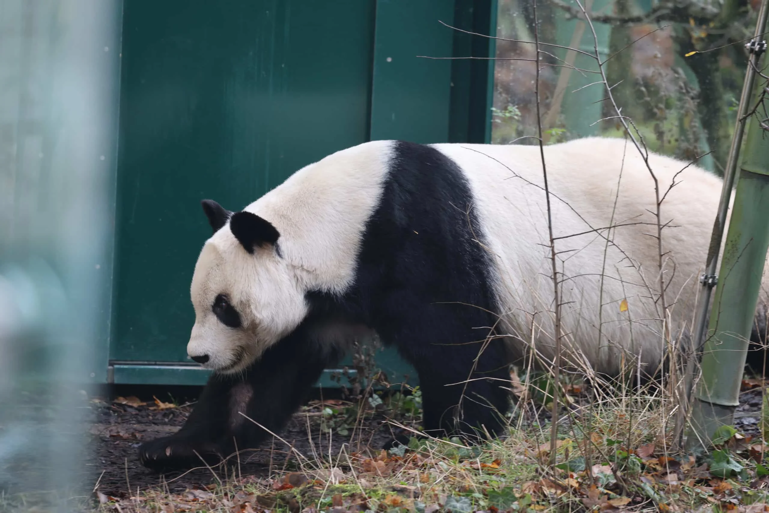 Tiergarten Schönbrunn