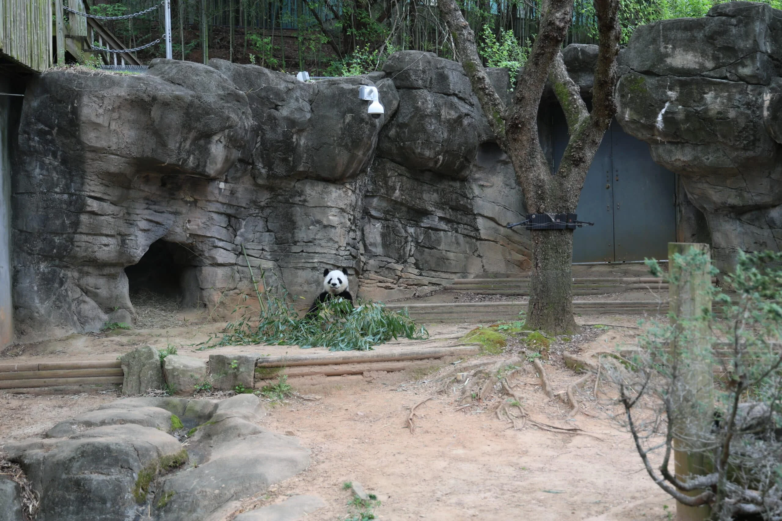 Zoo Atlanta