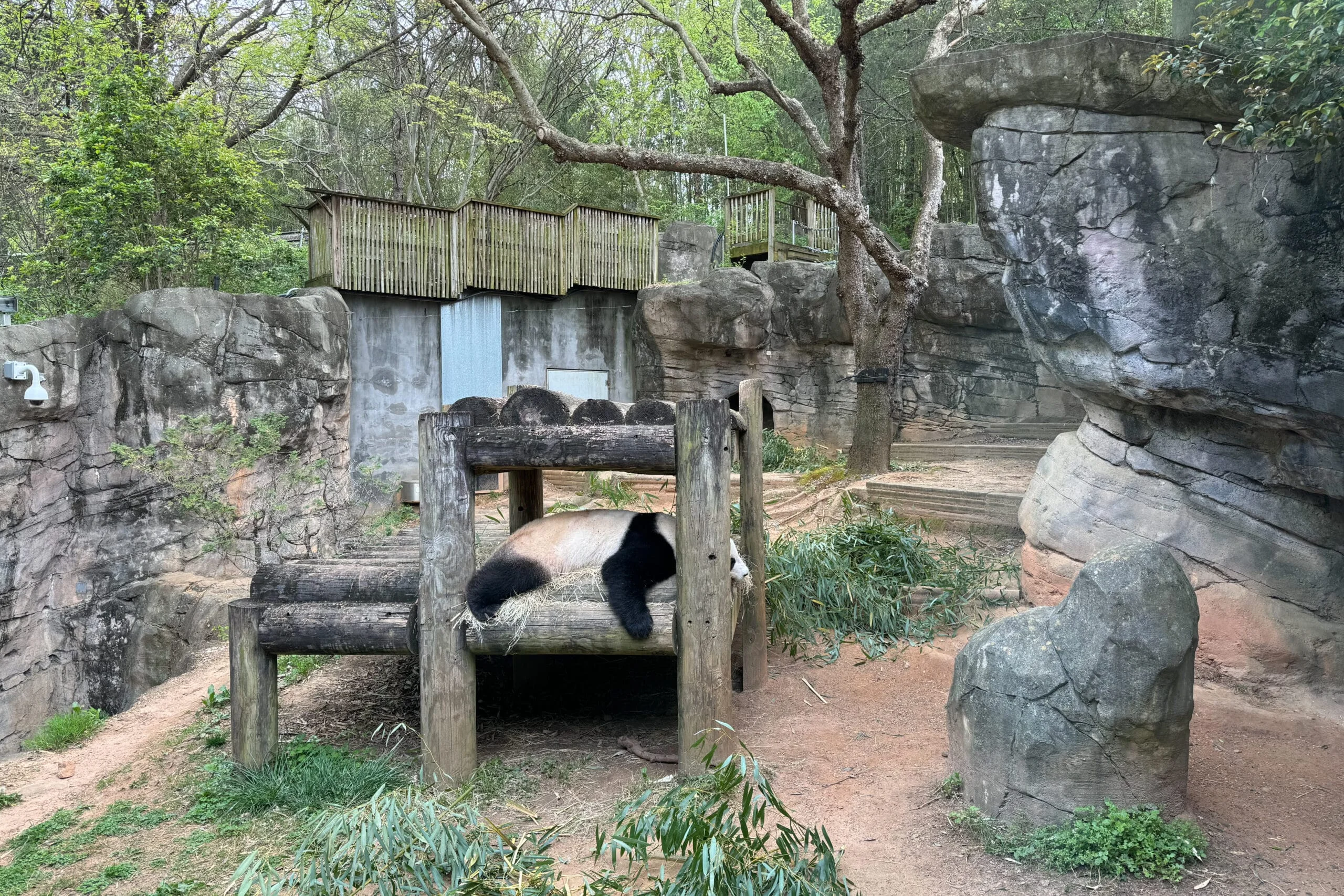 Zoo Atlanta