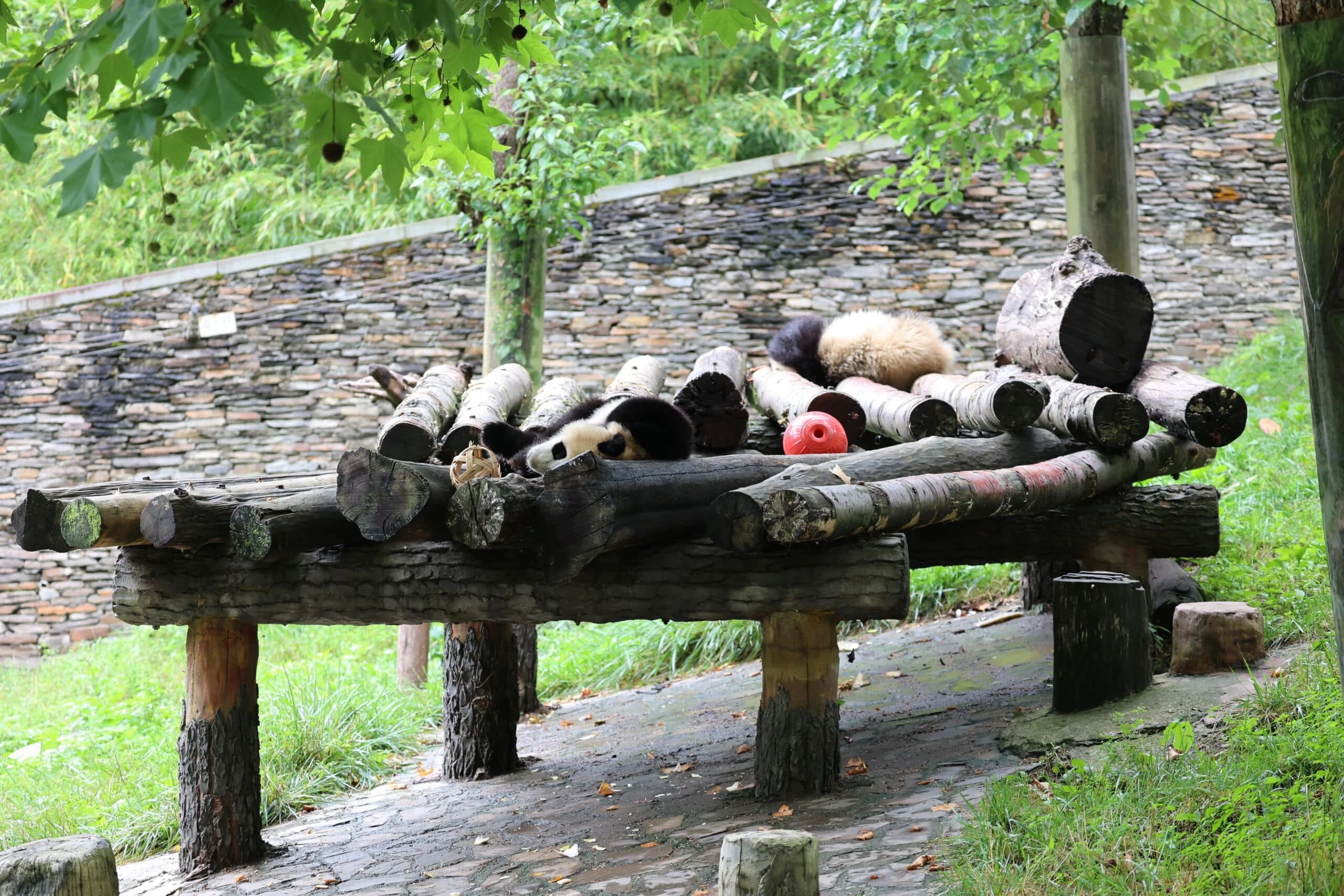 CCRCGP Wolong Geng Da Base