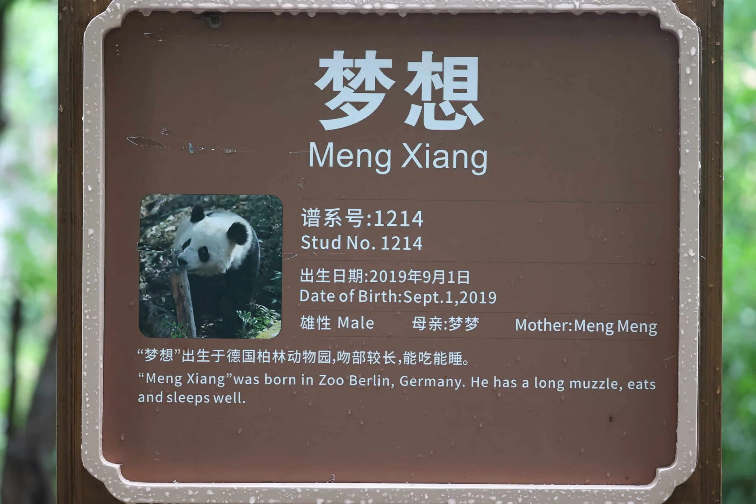 Chengdu Research Base of Giant Panda Breeding