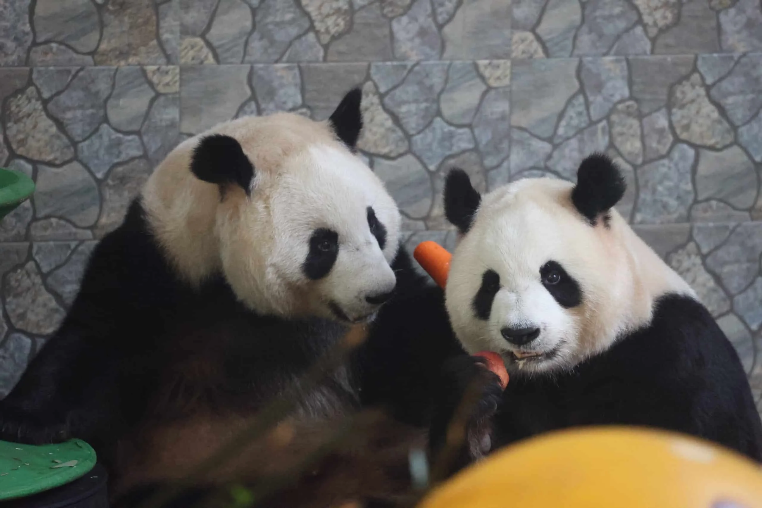 Xian Qinling Wild Animal Park