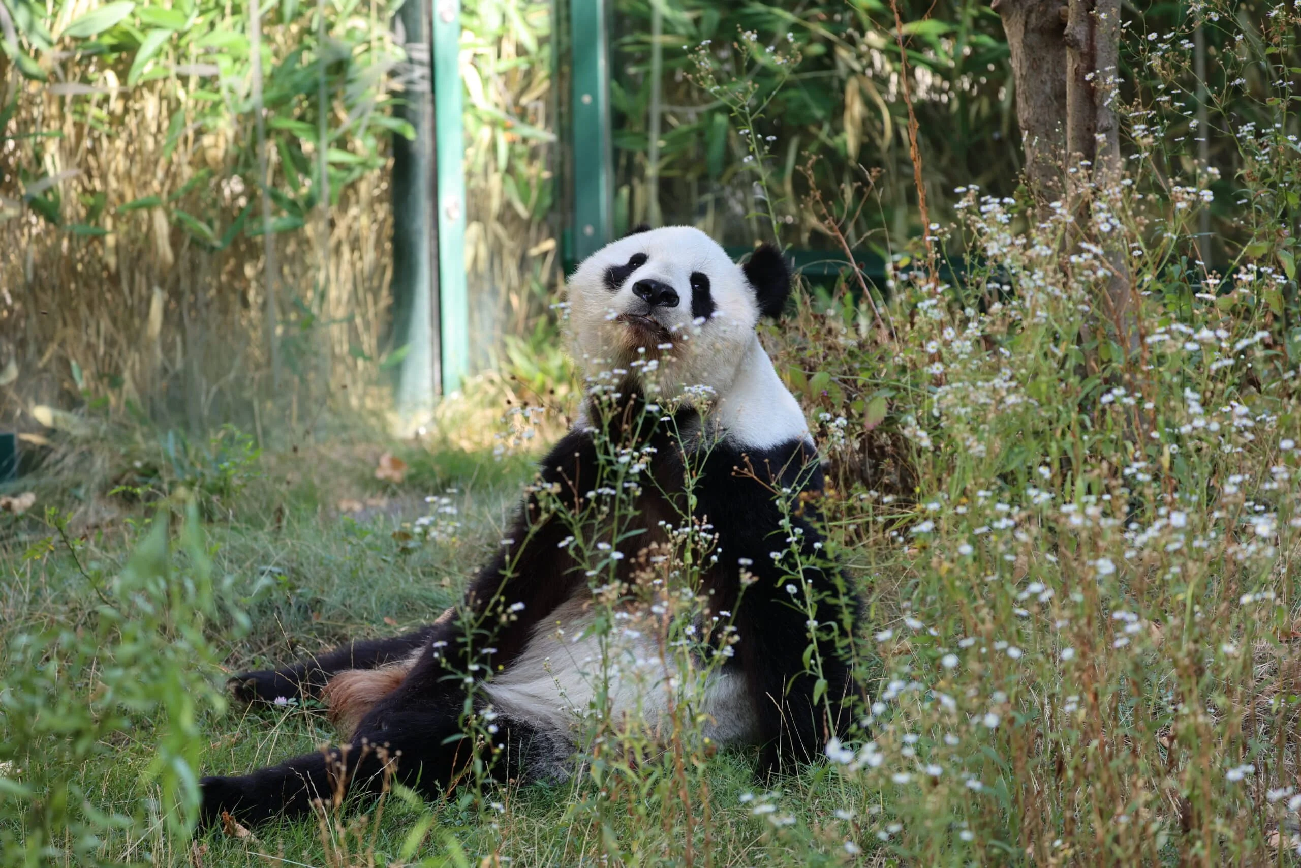 Tiergarten Schönbrunn