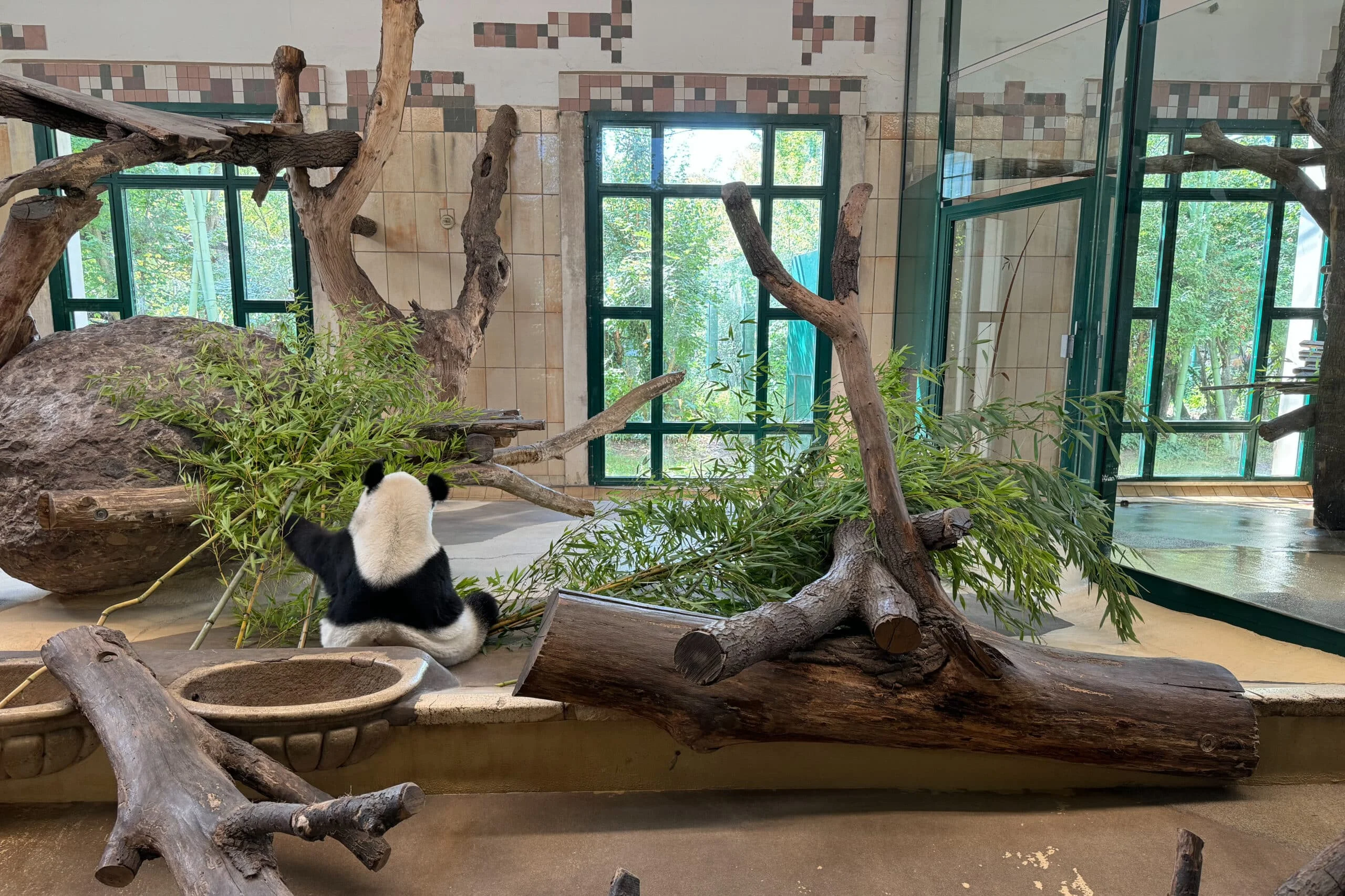 Tiergarten Schönbrunn