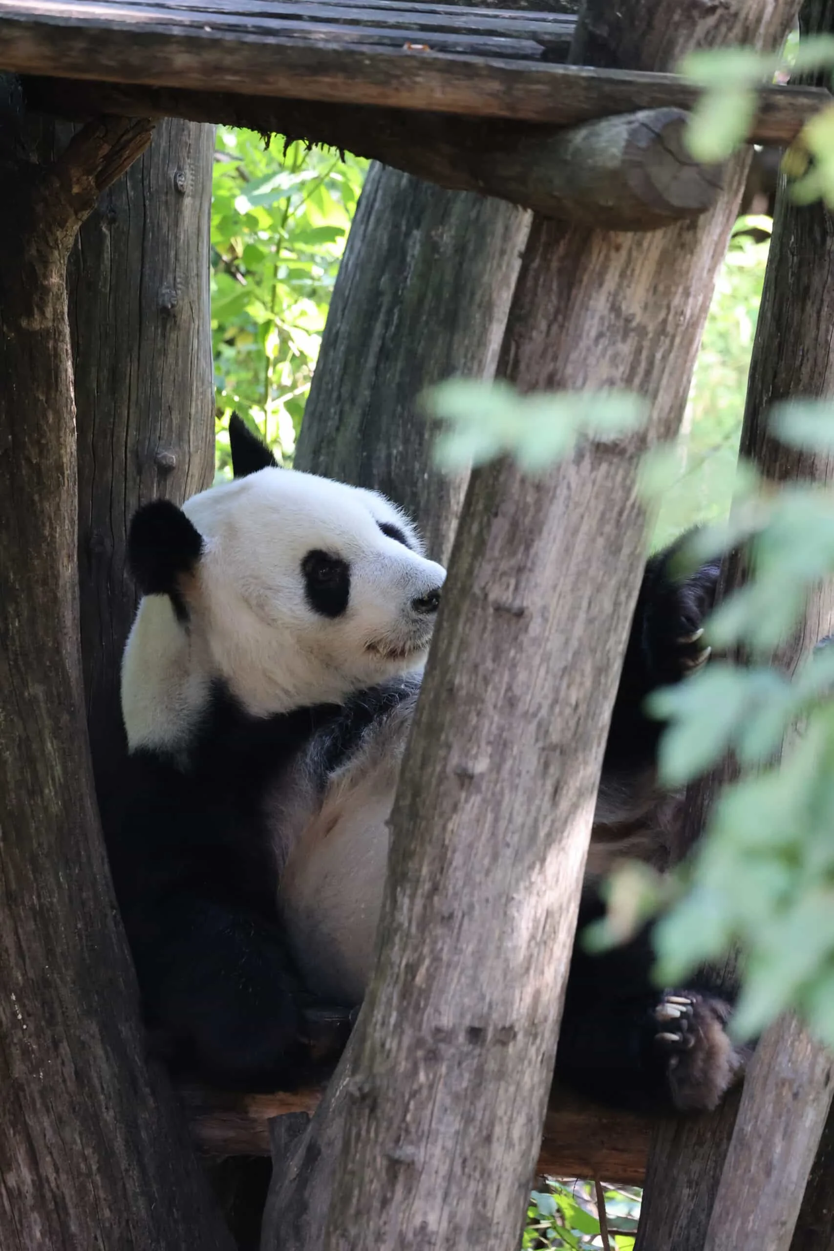 Tiergarten Schönbrunn