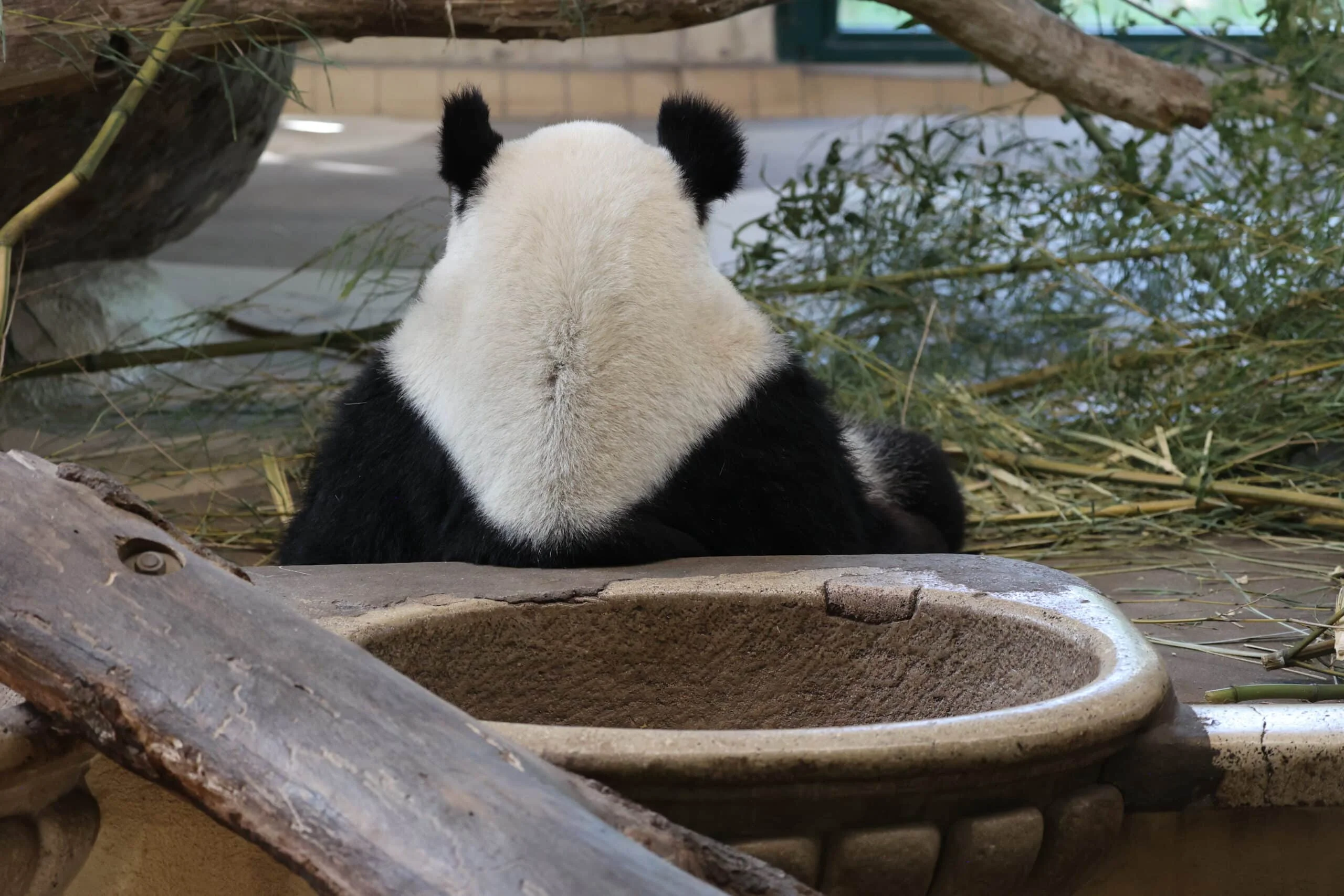 Tiergarten Schönbrunn