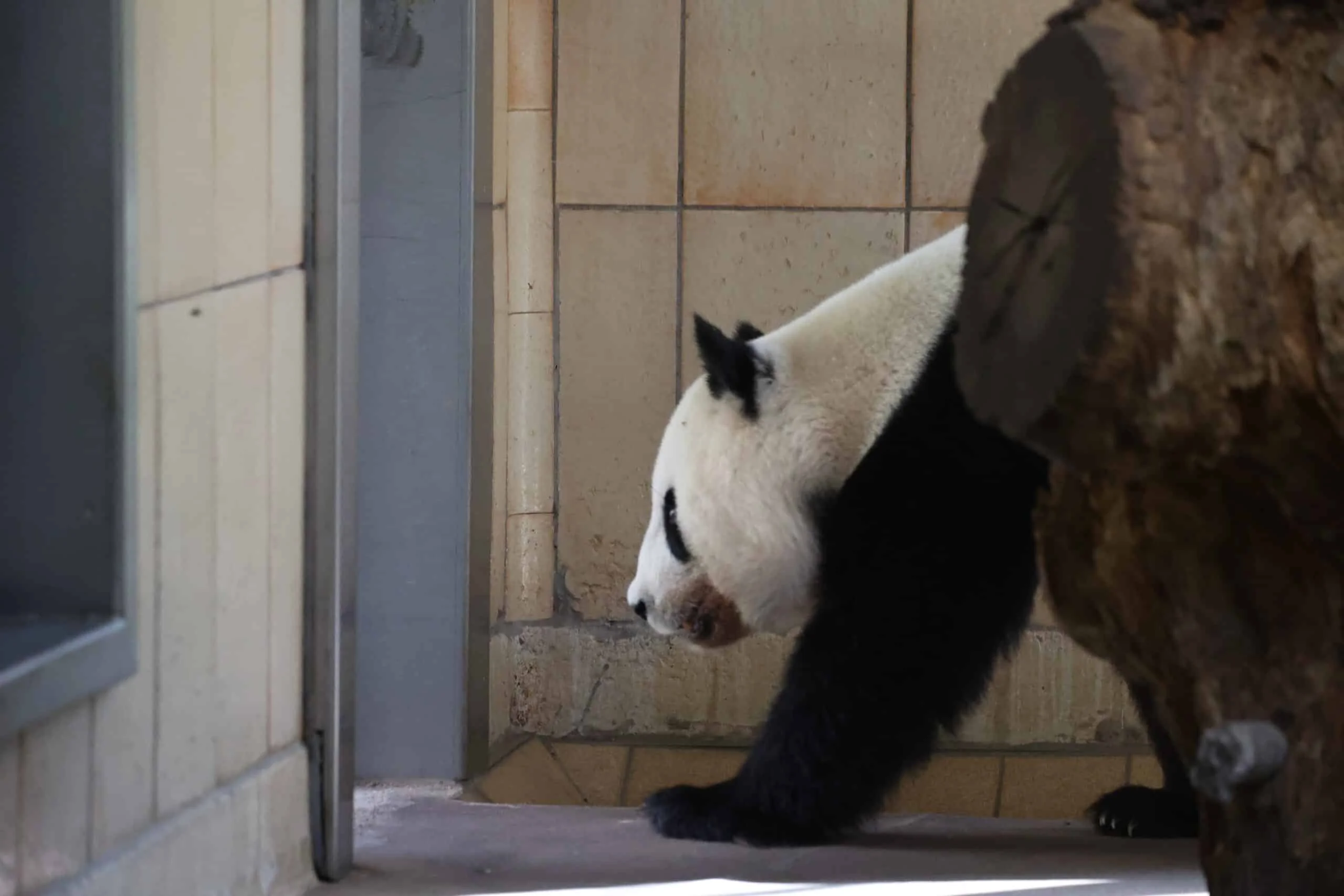 Tiergarten Schönbrunn