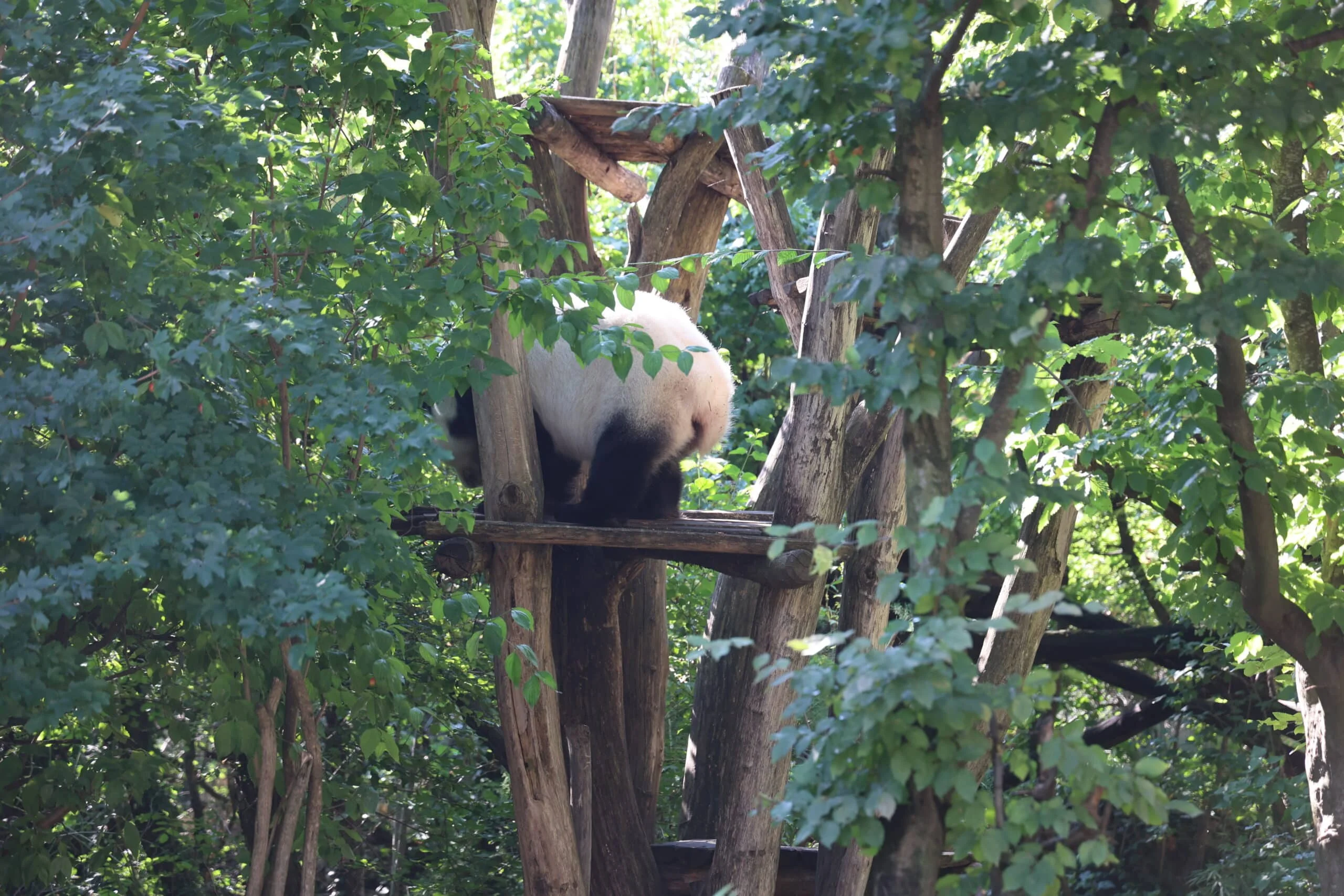 Tiergarten Schönbrunn