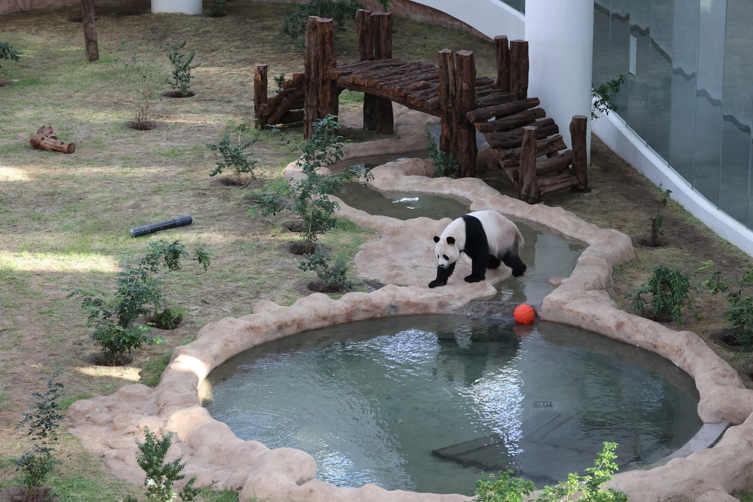 Panda House Qatar