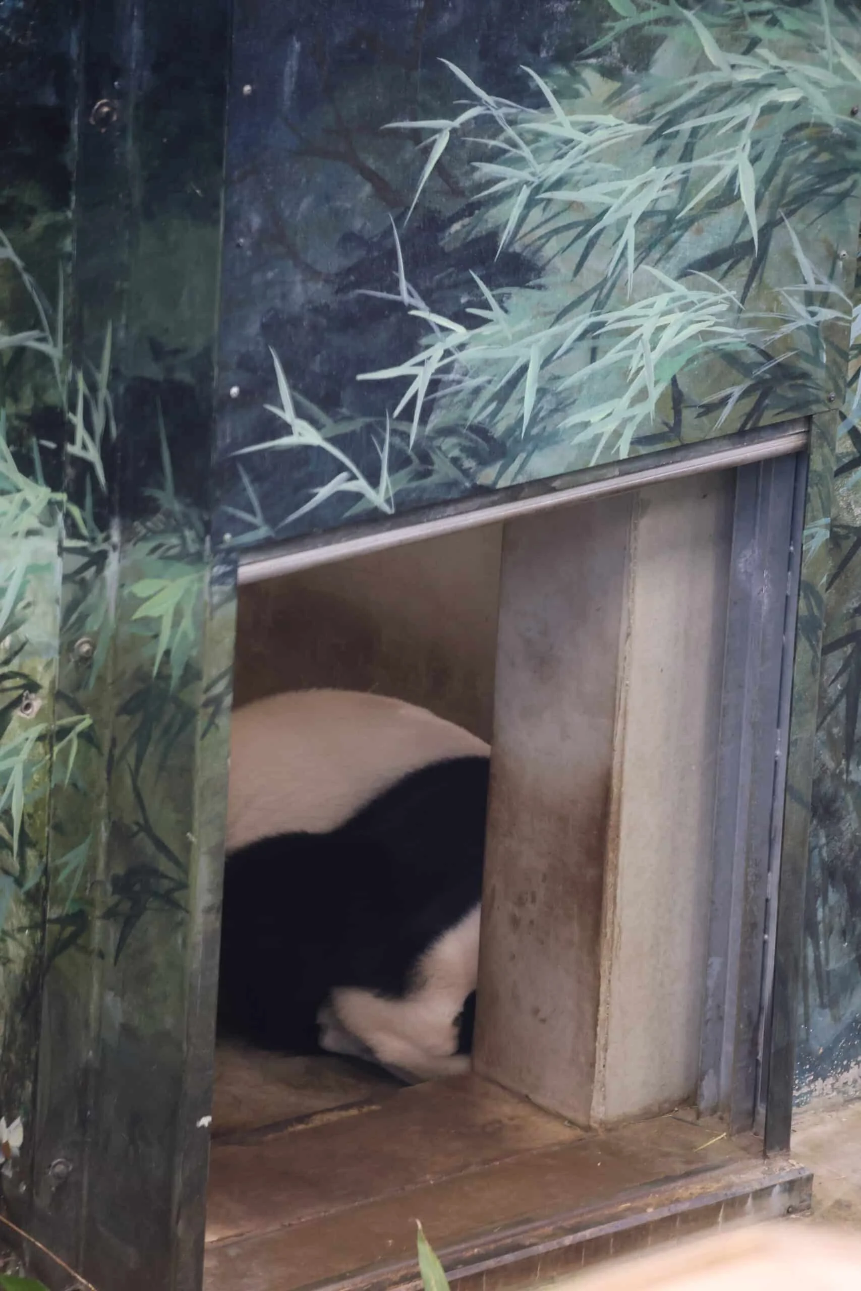 Ouwehands Dierenpark Rhenen