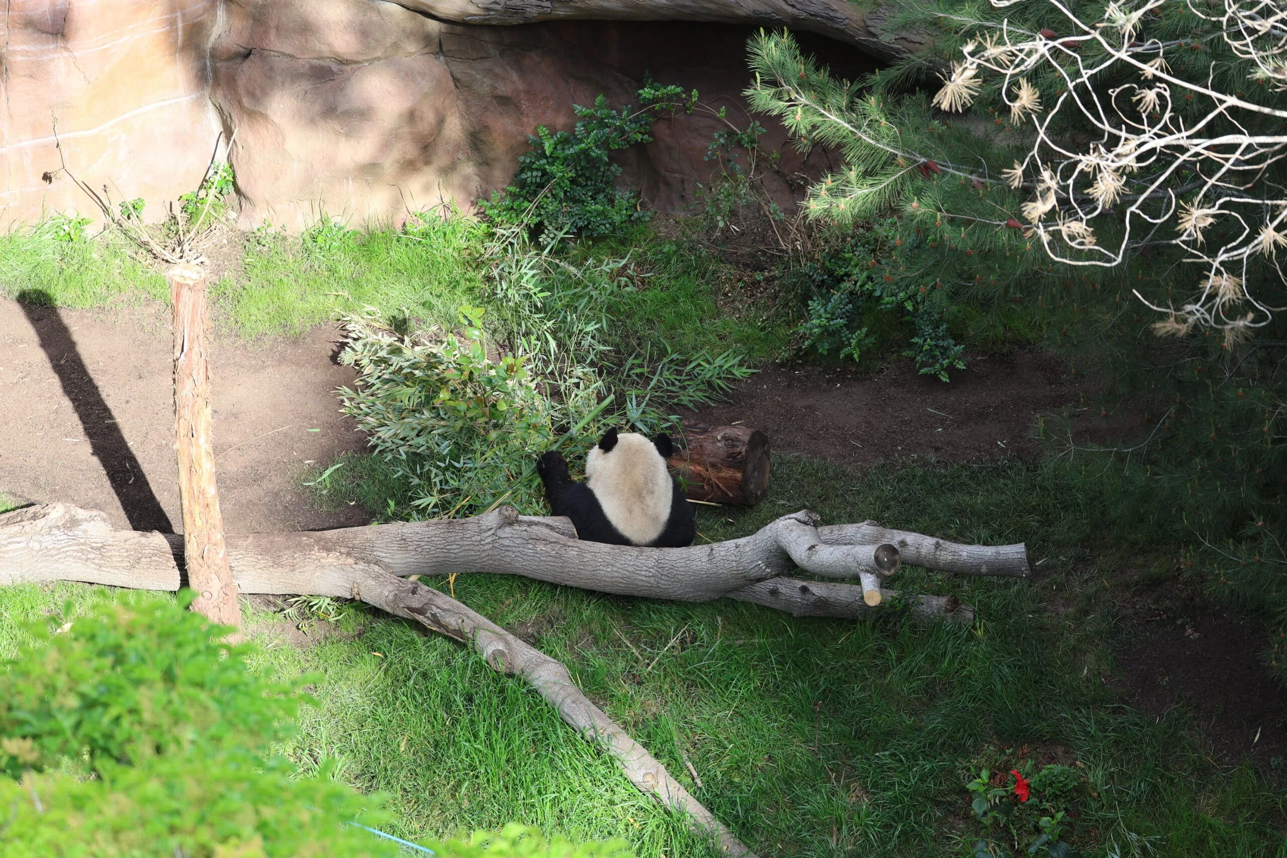San Diego Zoo