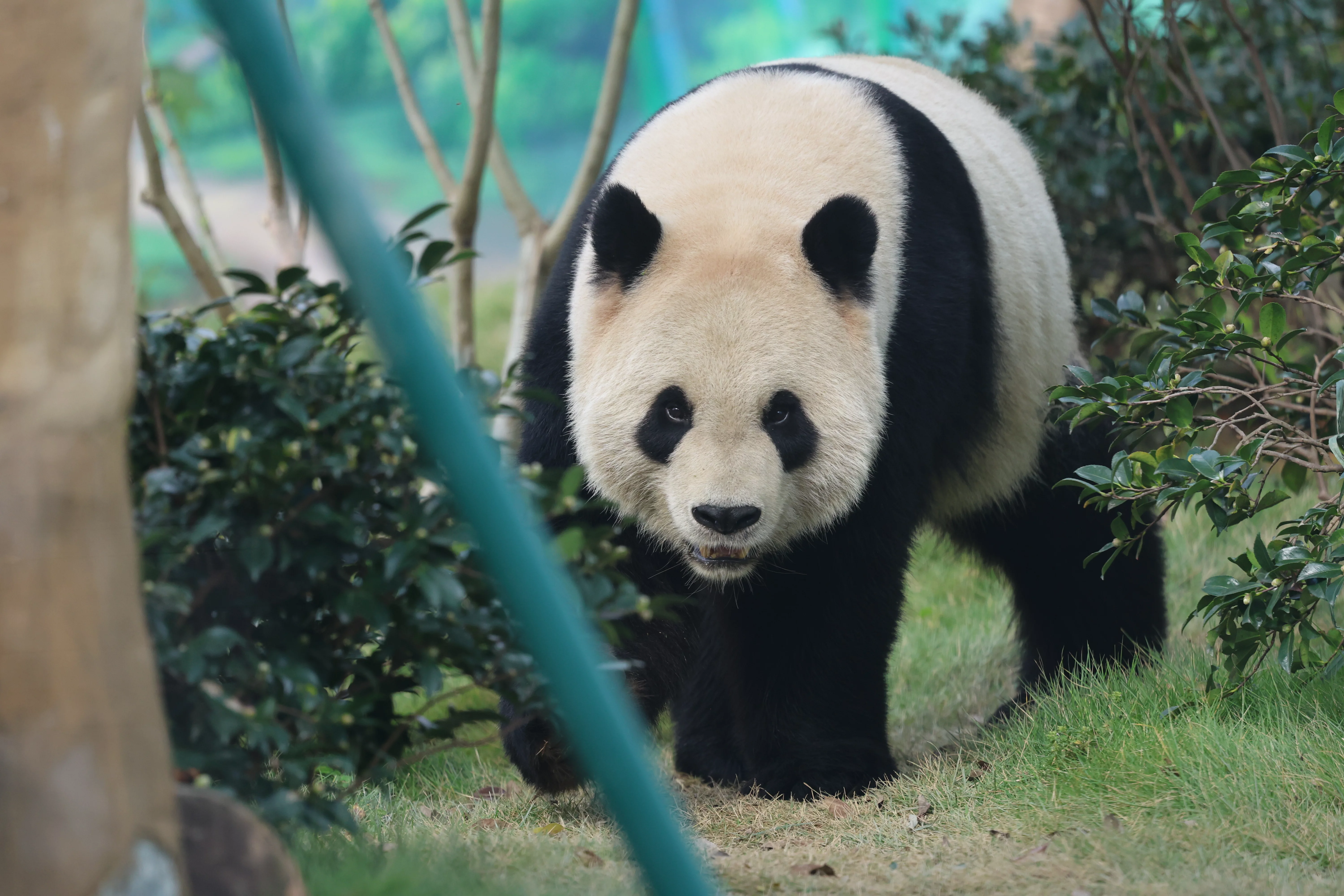 Wenzhou Zoo