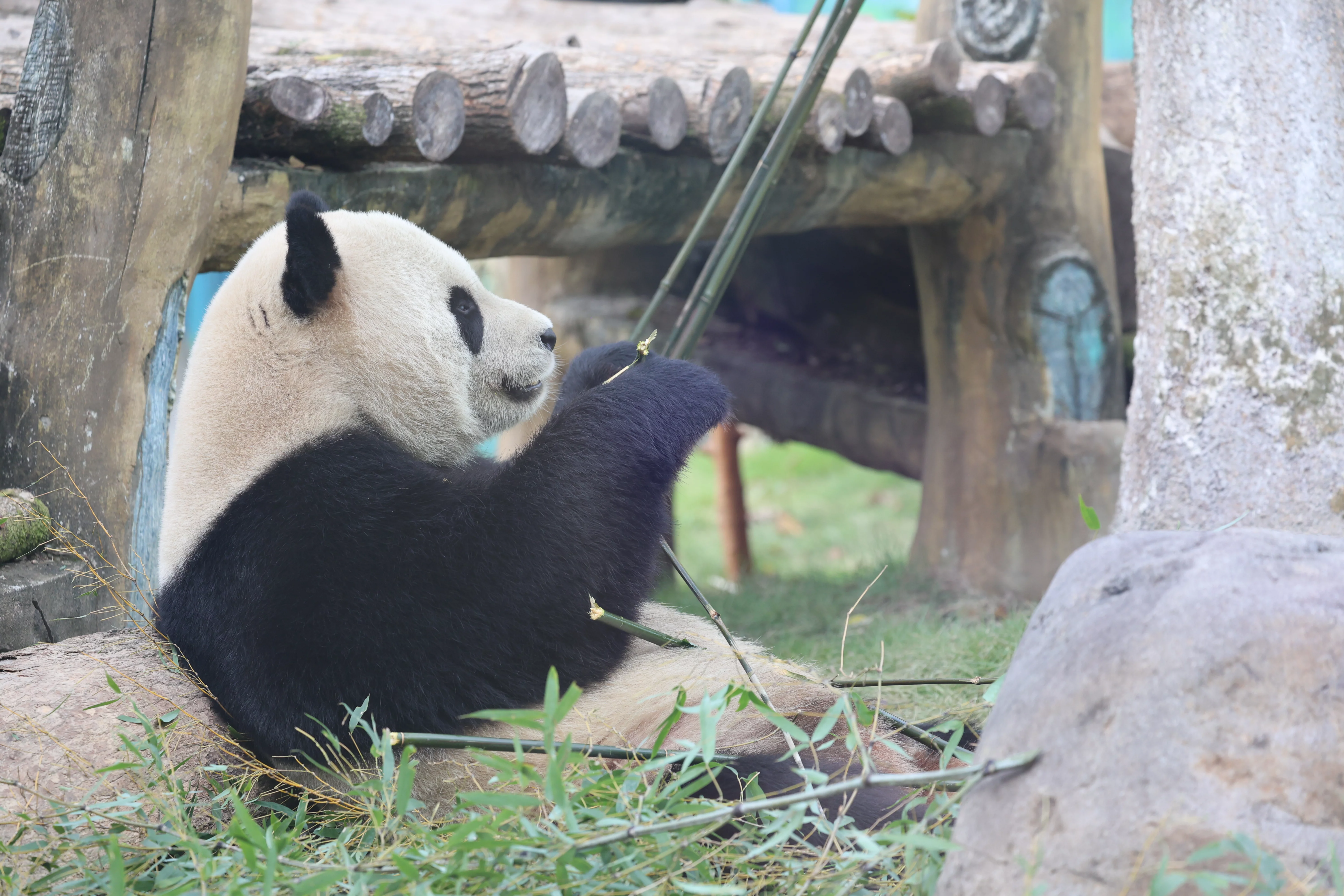 Wenzhou Zoo