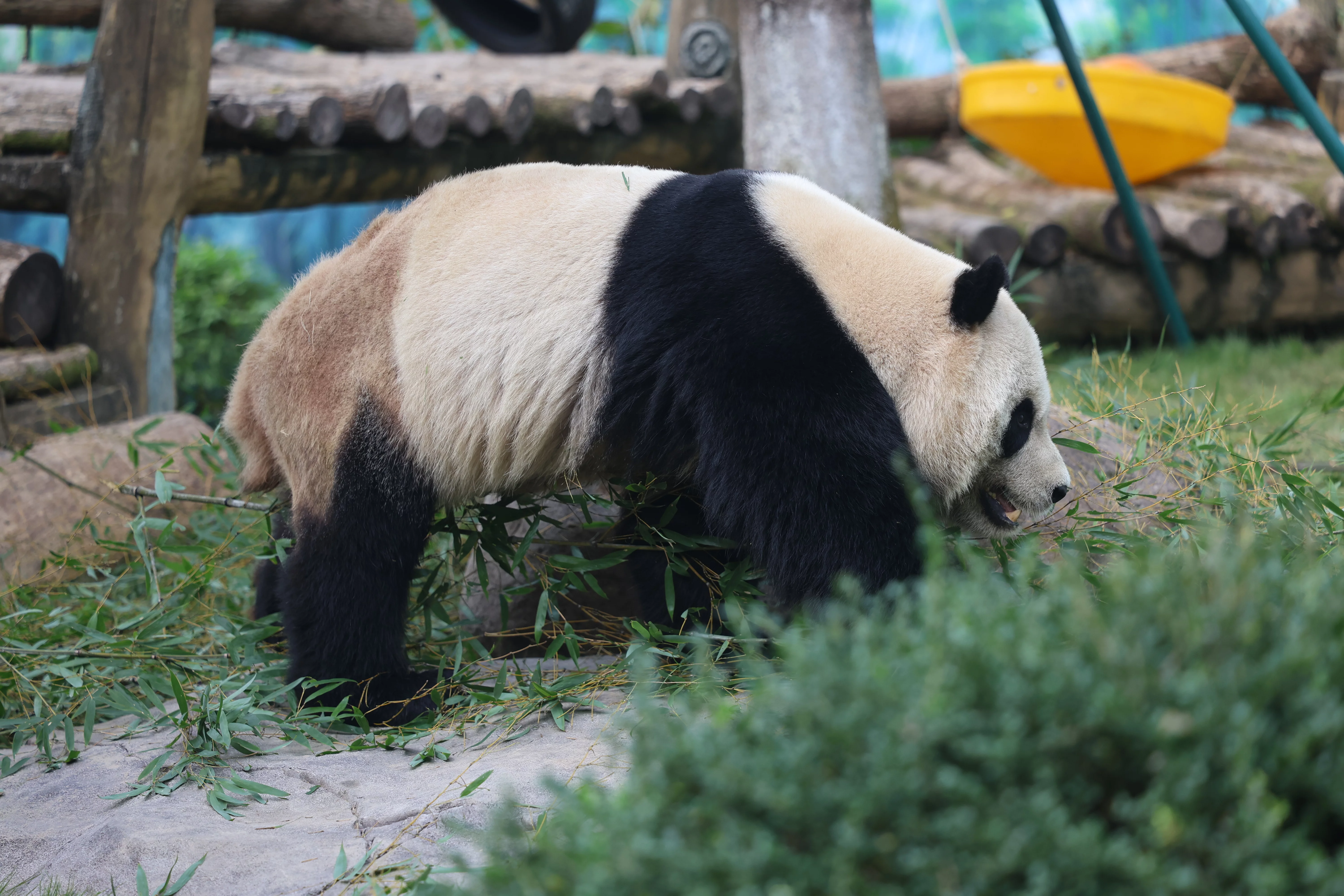 Wenzhou Zoo