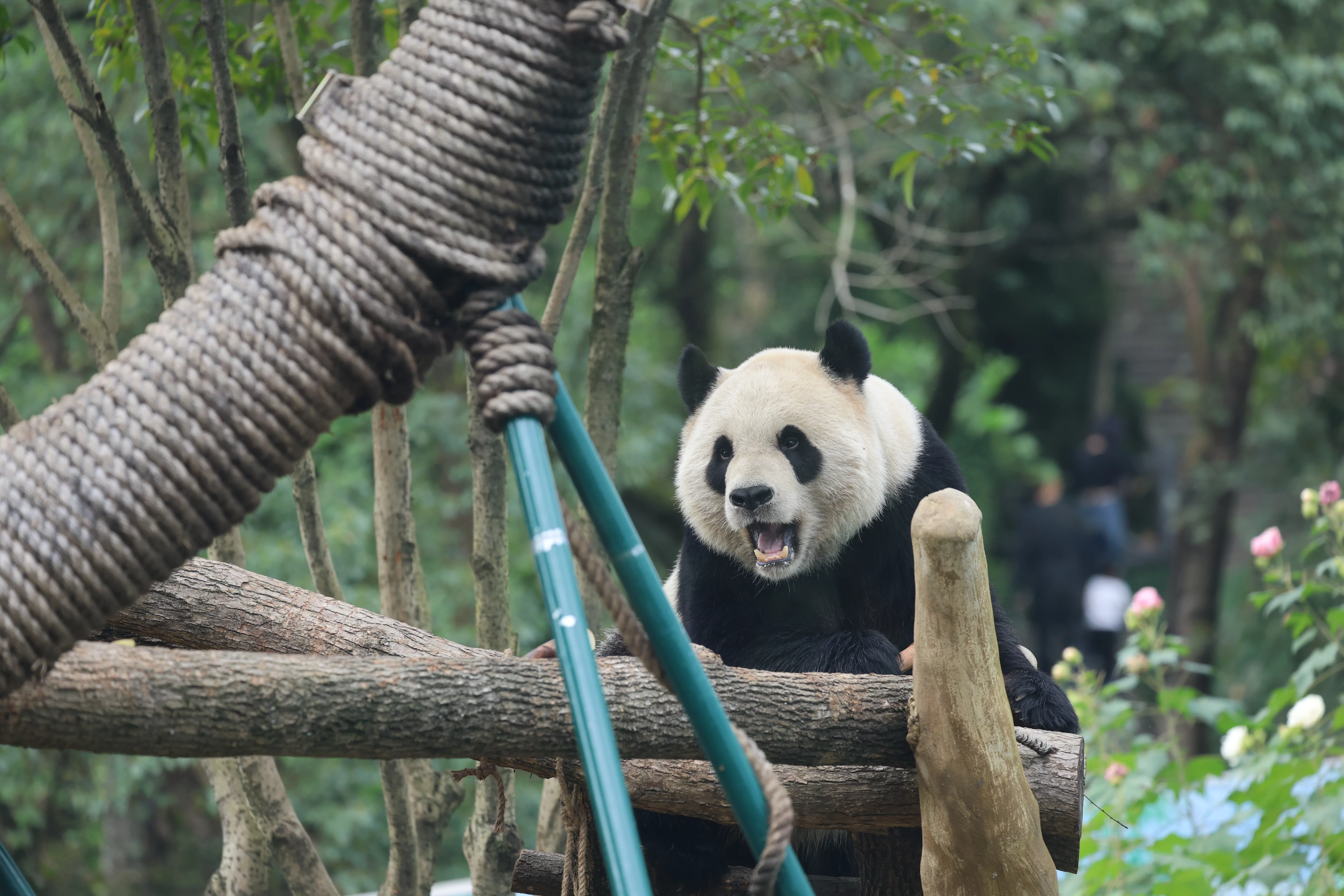 Wenzhou Zoo