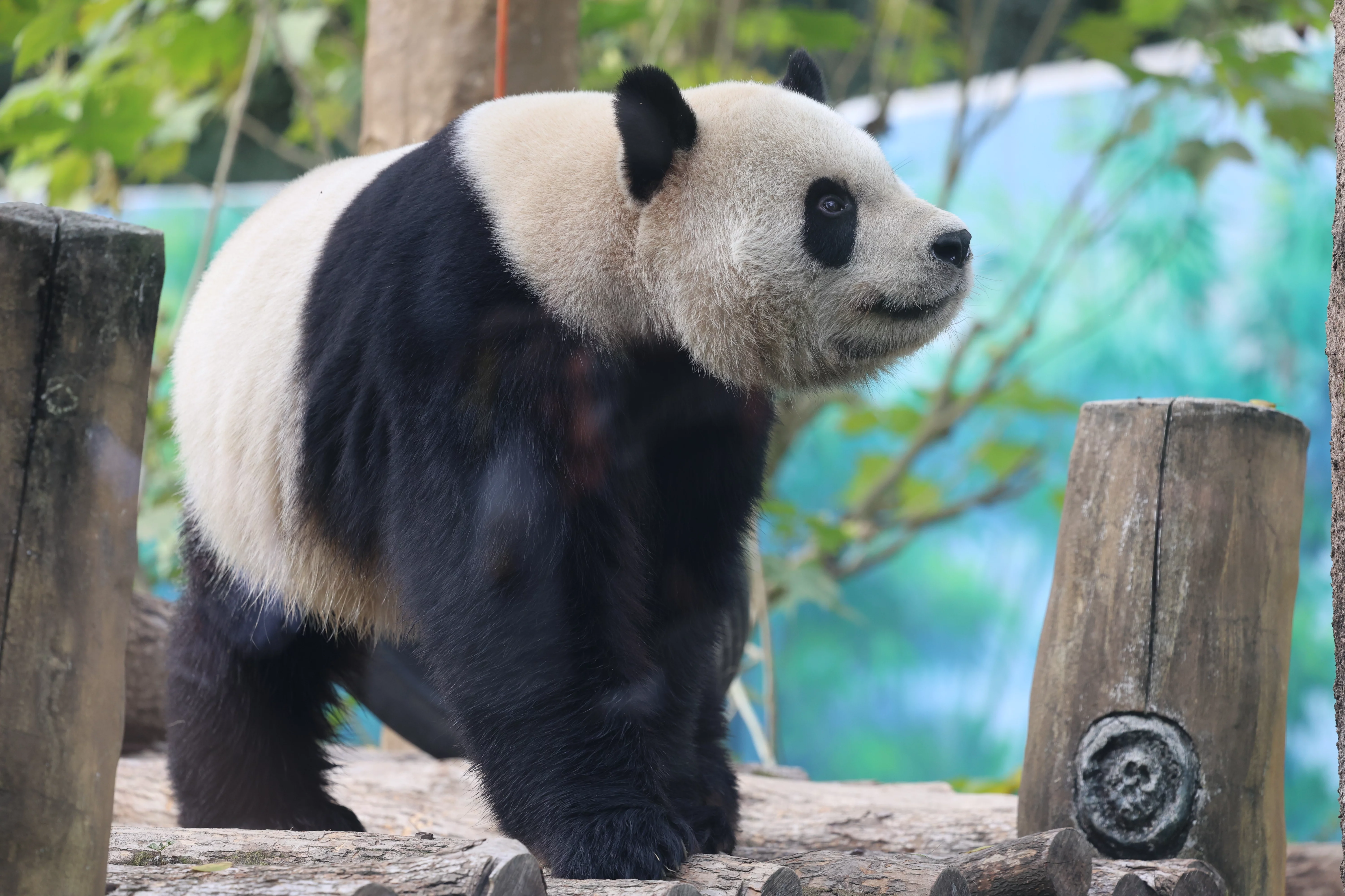 Wenzhou Zoo