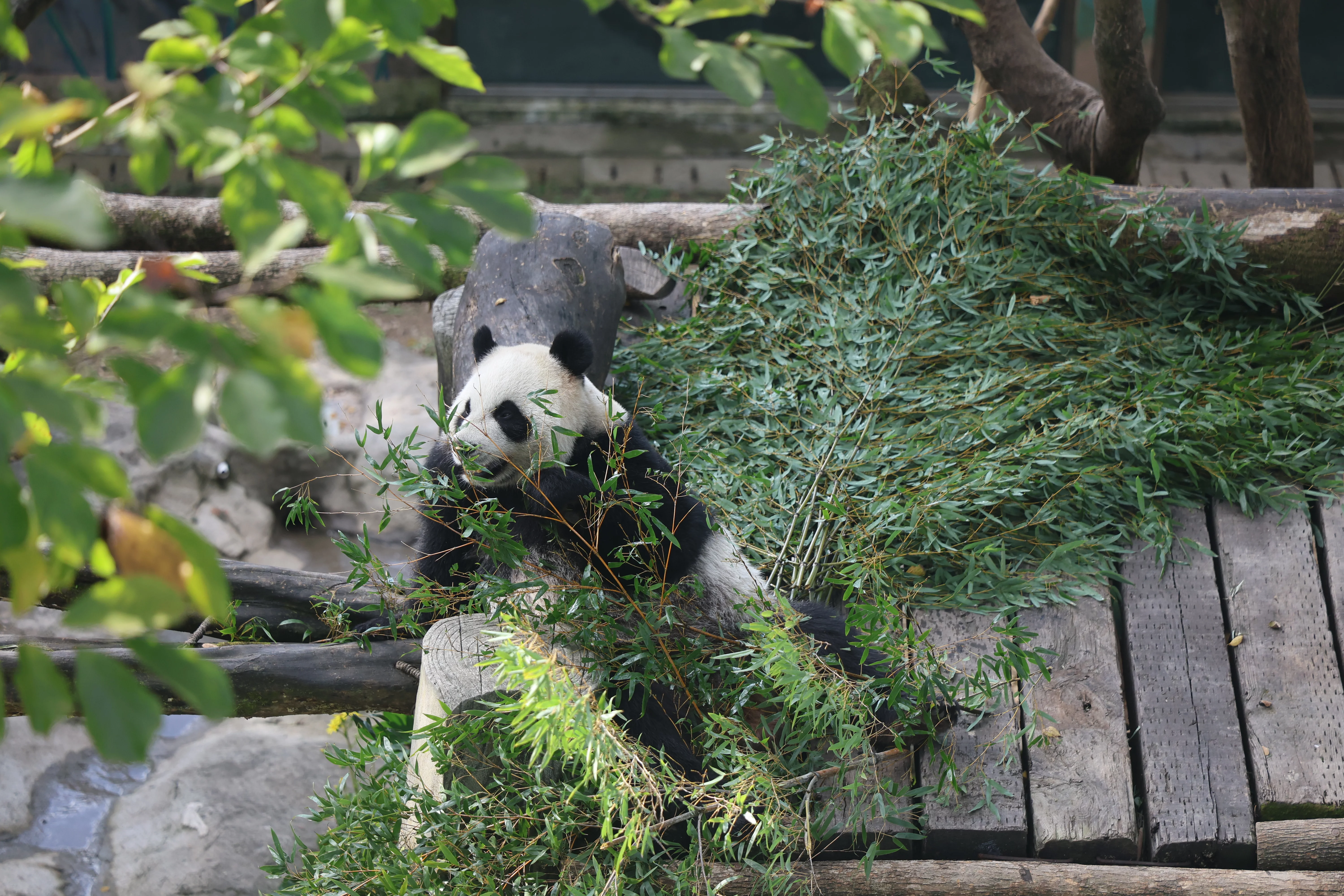 Wenzhou Zoo