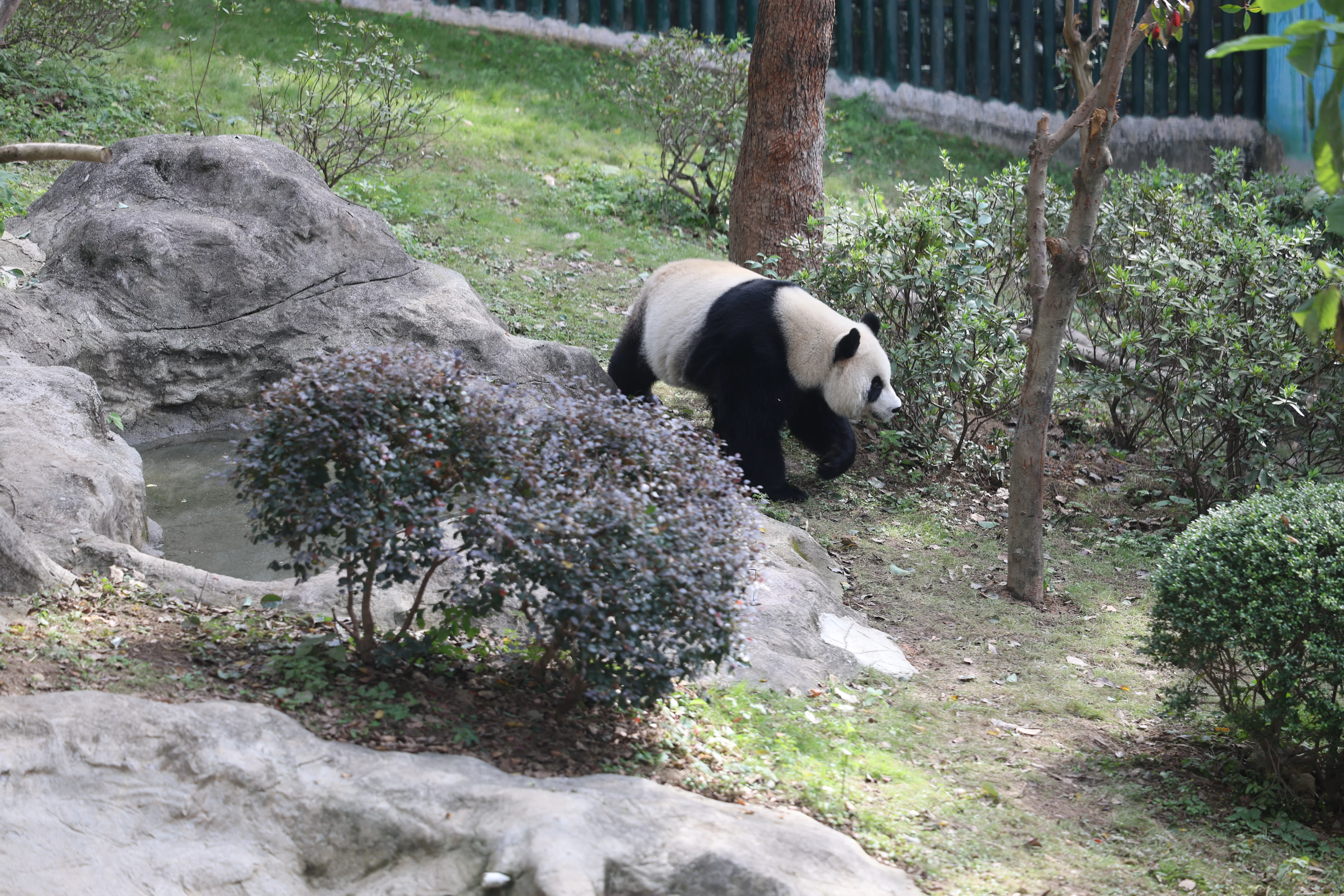 Wenzhou Zoo