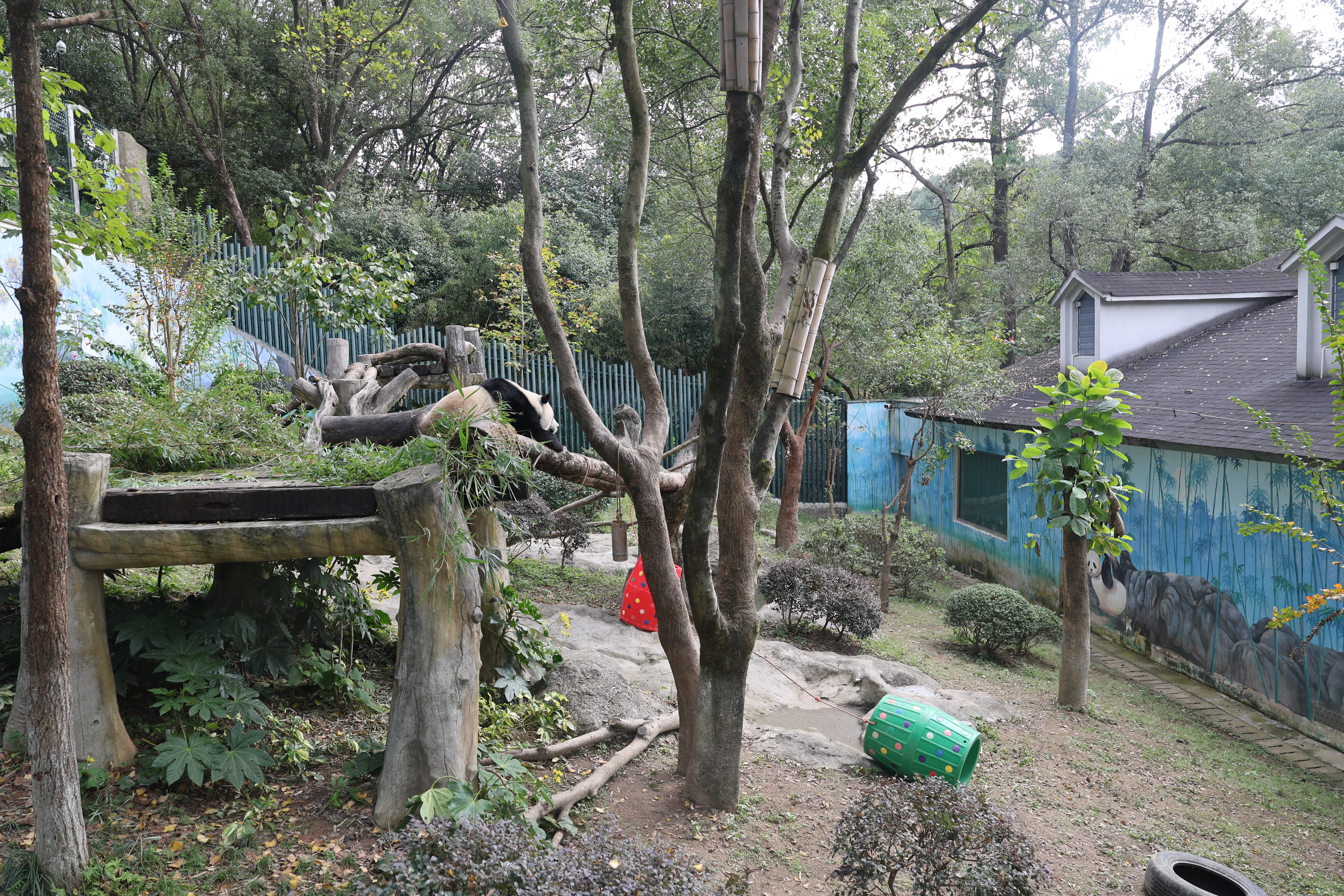 Wenzhou Zoo