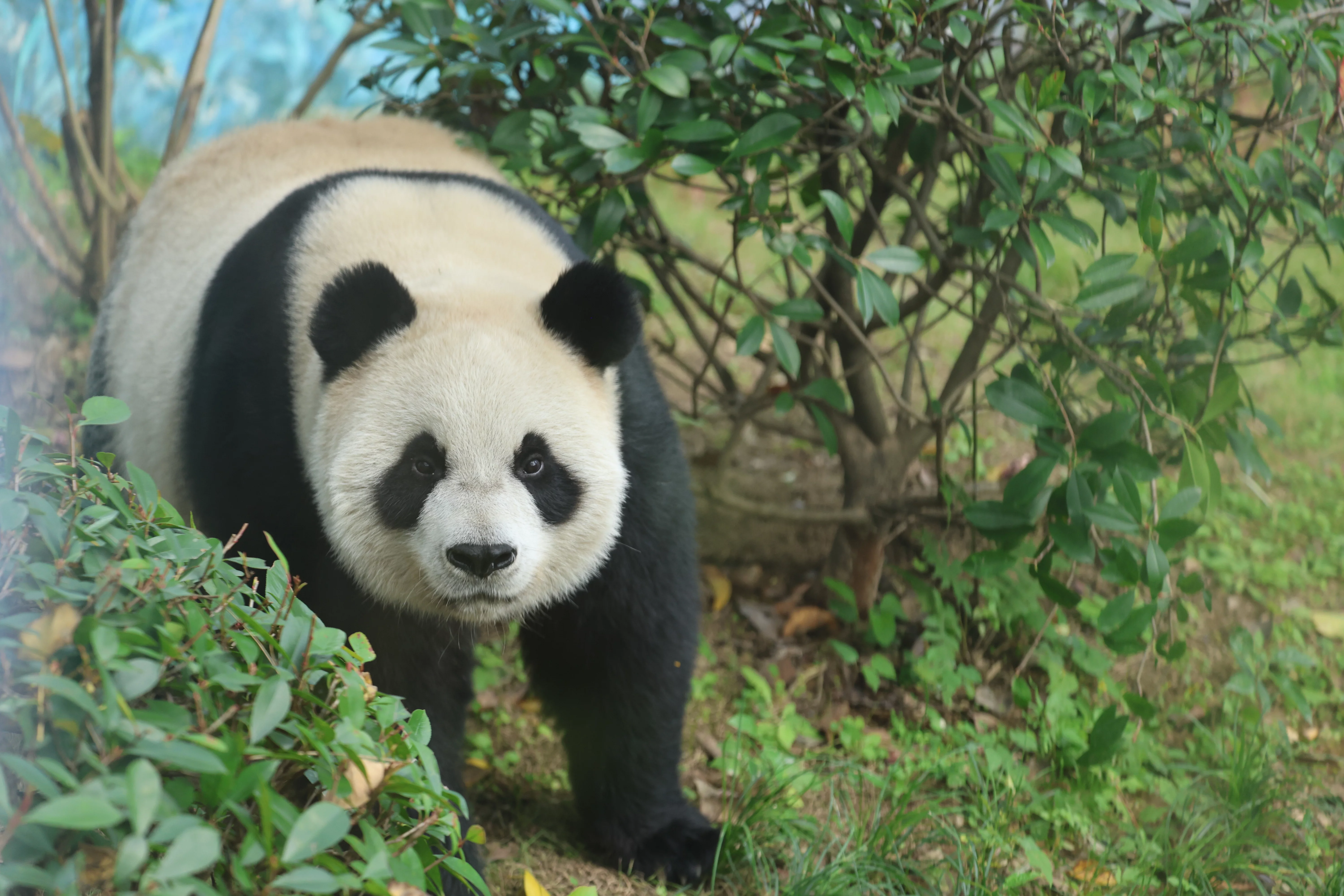 Wenzhou Zoo