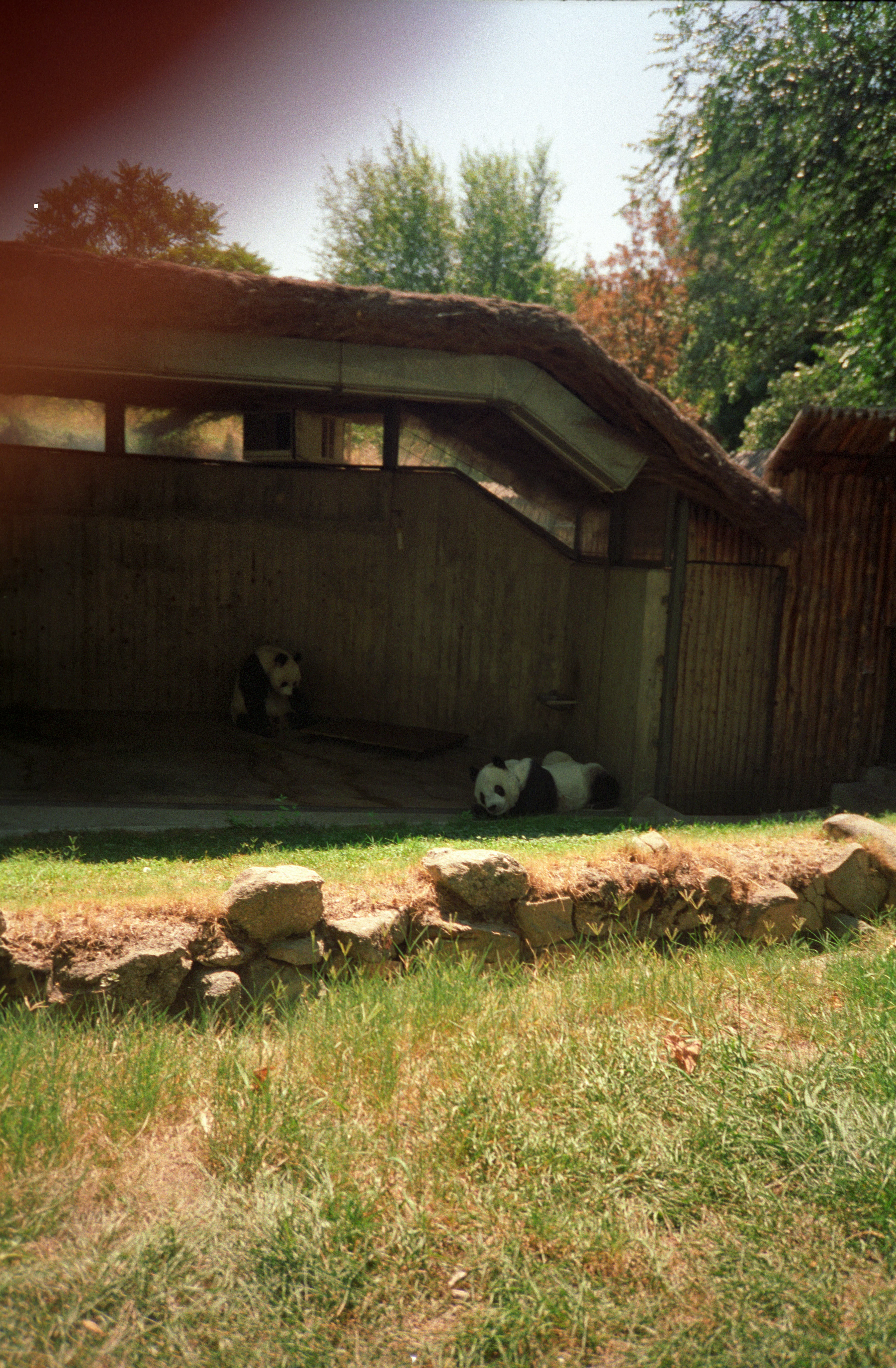 Zoo de la Casa de Campo