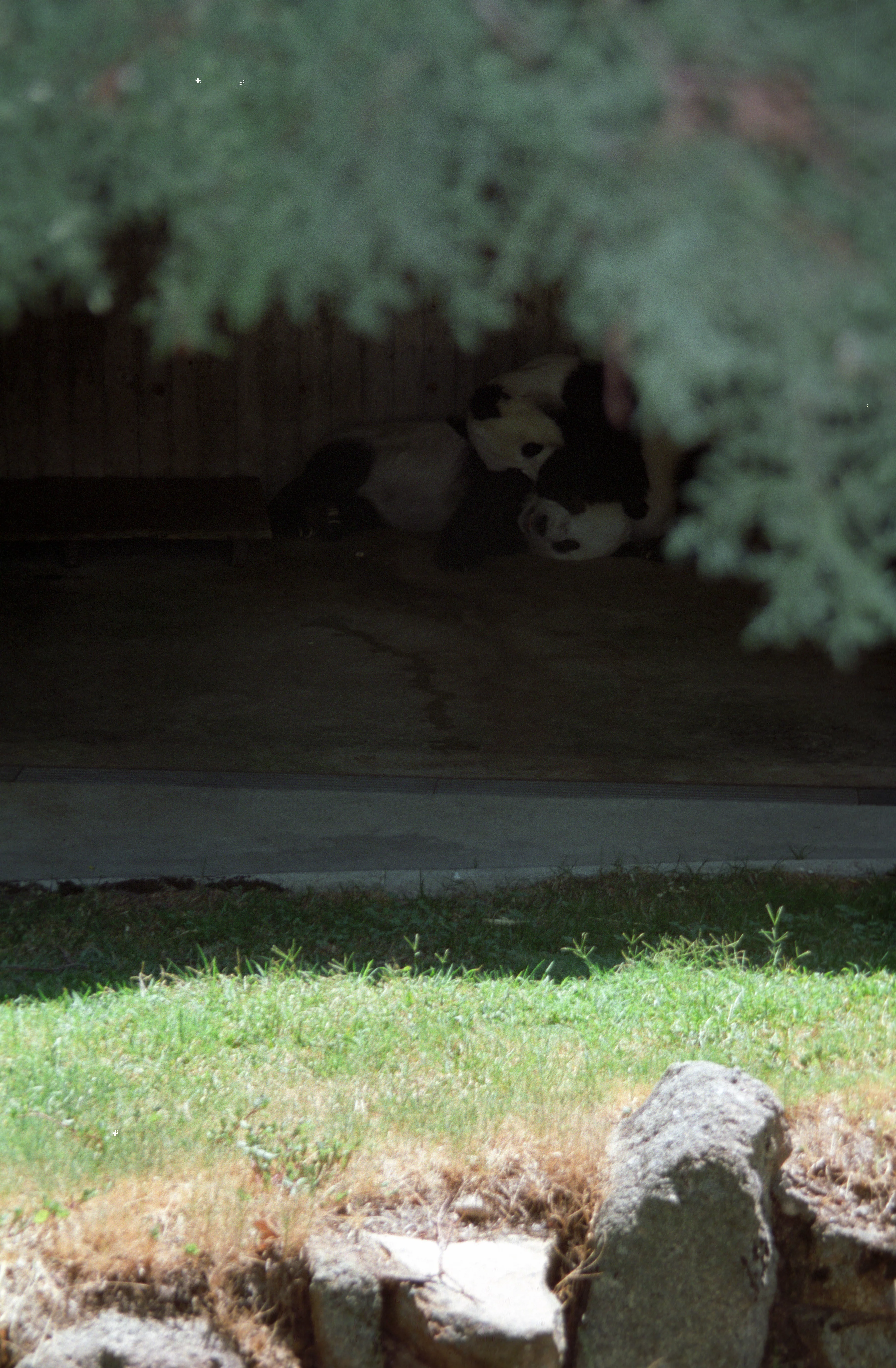 Zoo de la Casa de Campo