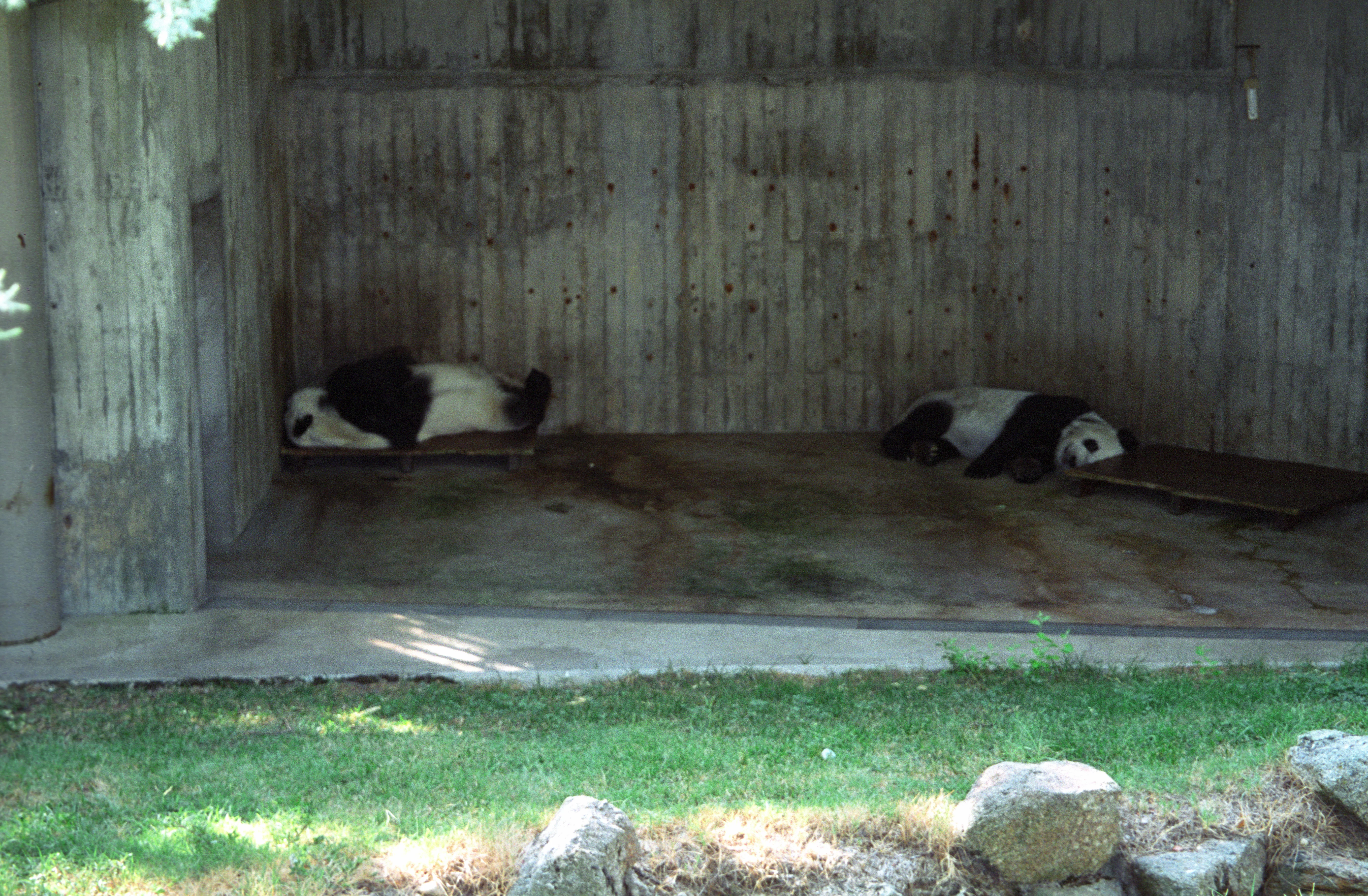 Zoo de la Casa de Campo
