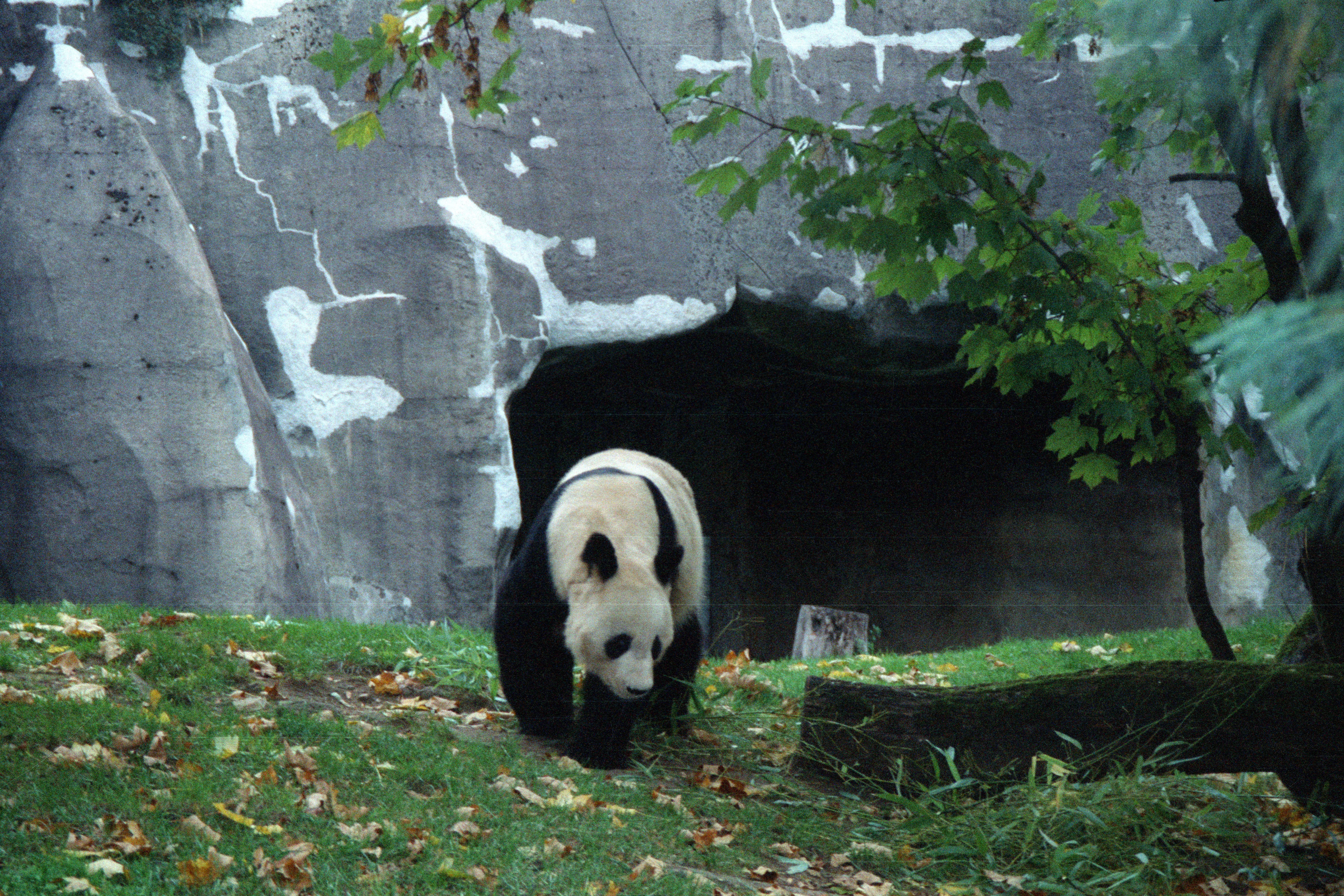 Zoo de Vincennes